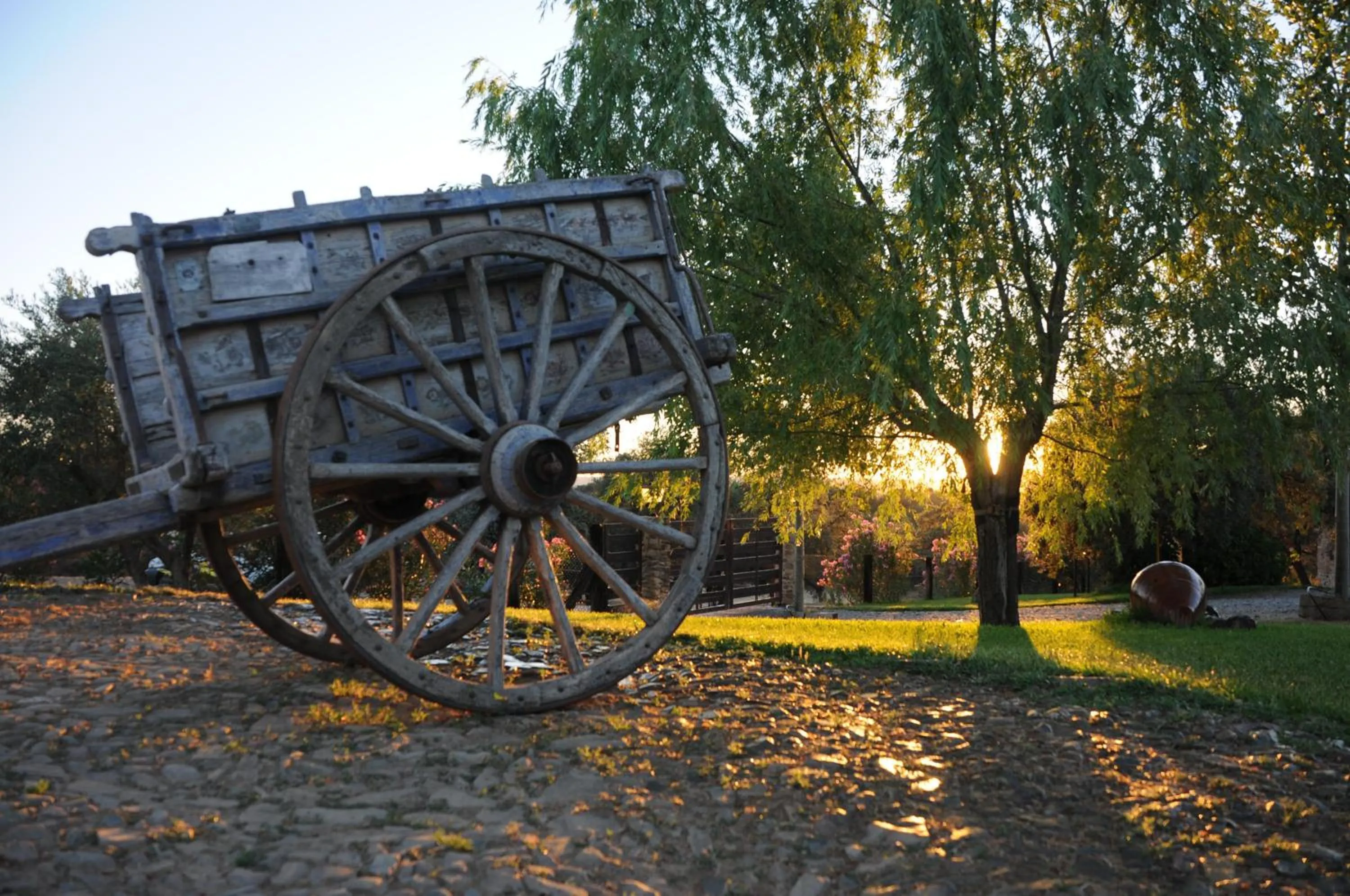 Area and facilities in Finca Los Caleros