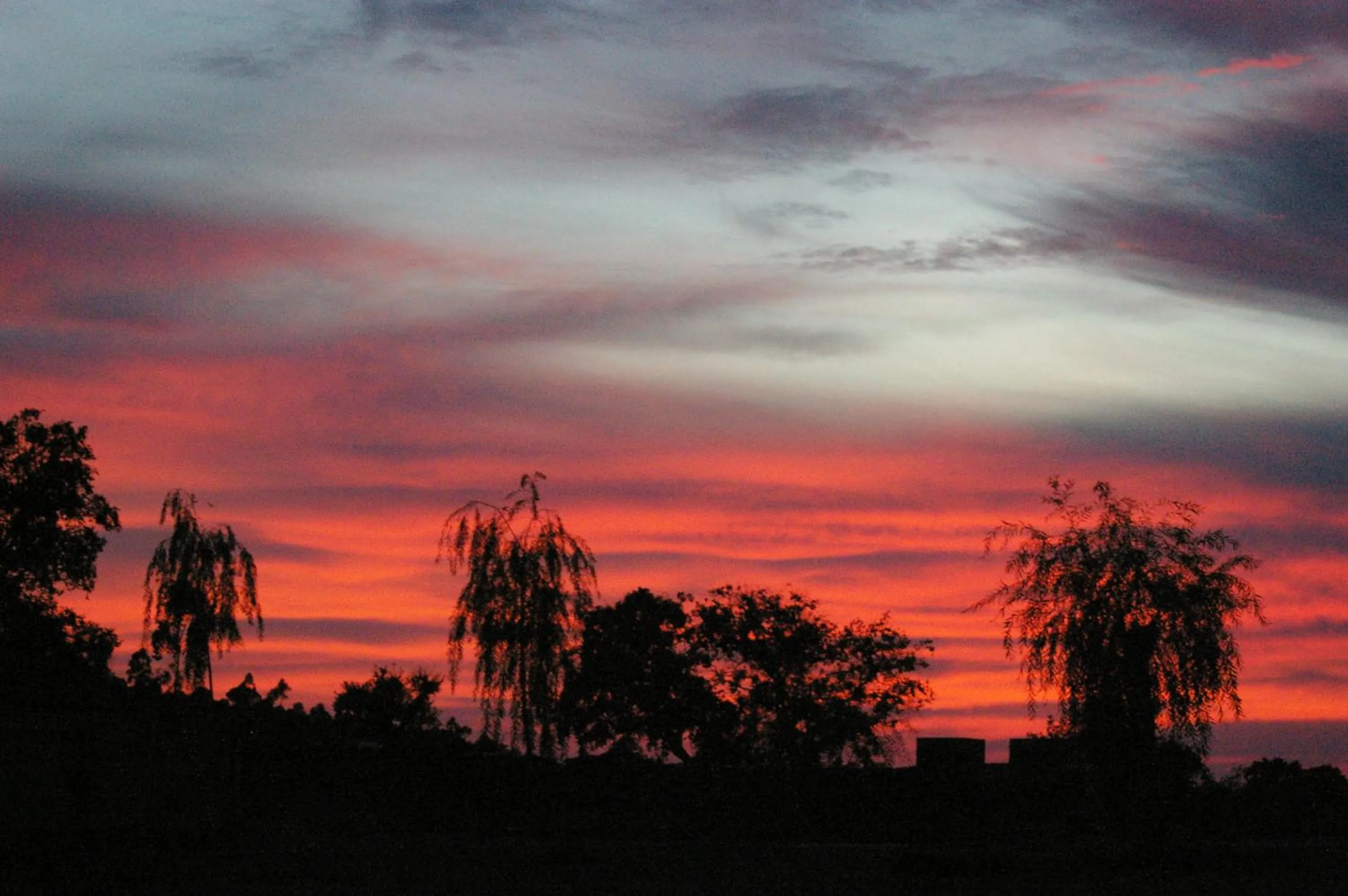 Facade/entrance in Finca Los Caleros