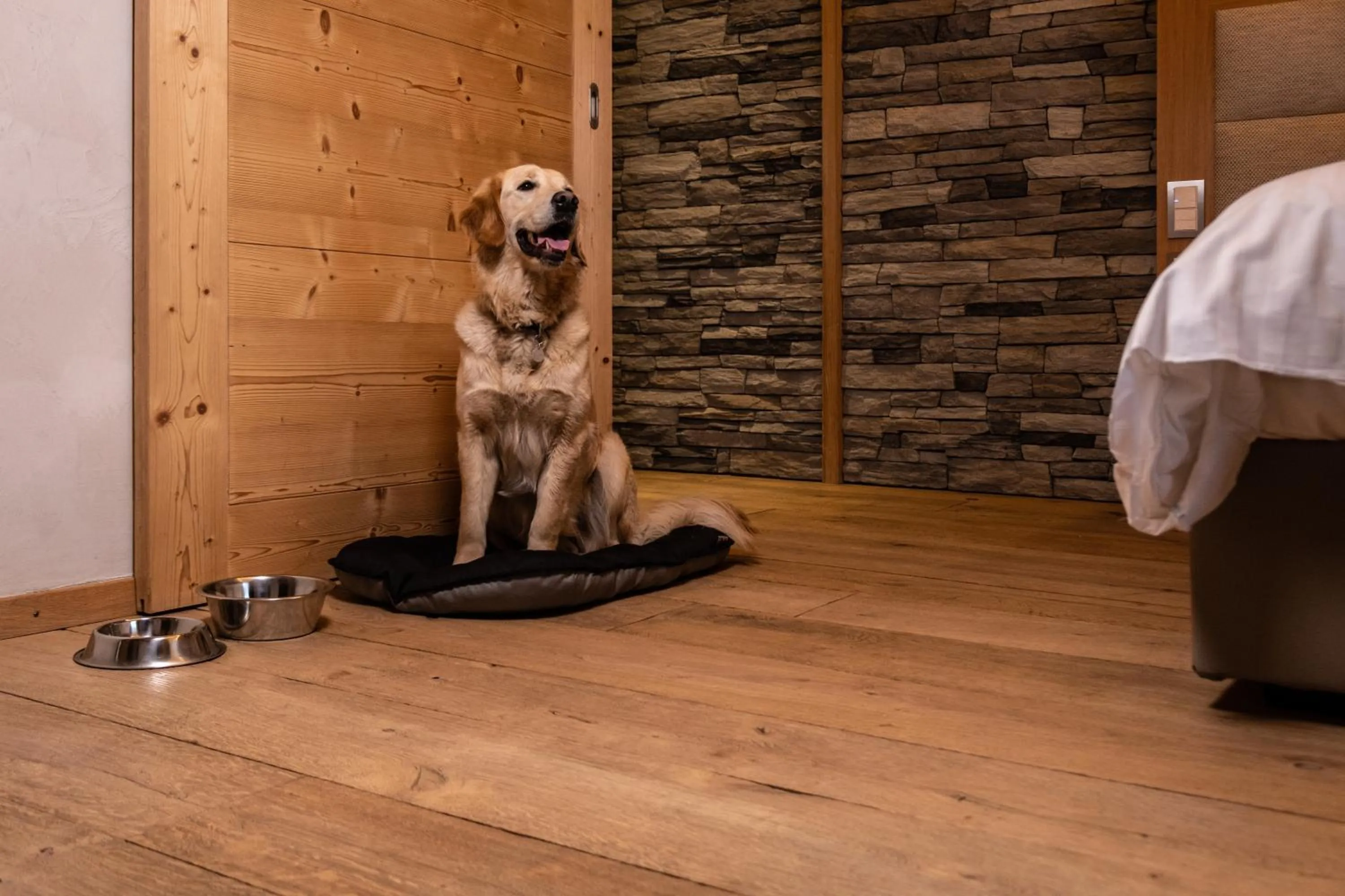 Pets in Hôtel National Resort & Spa