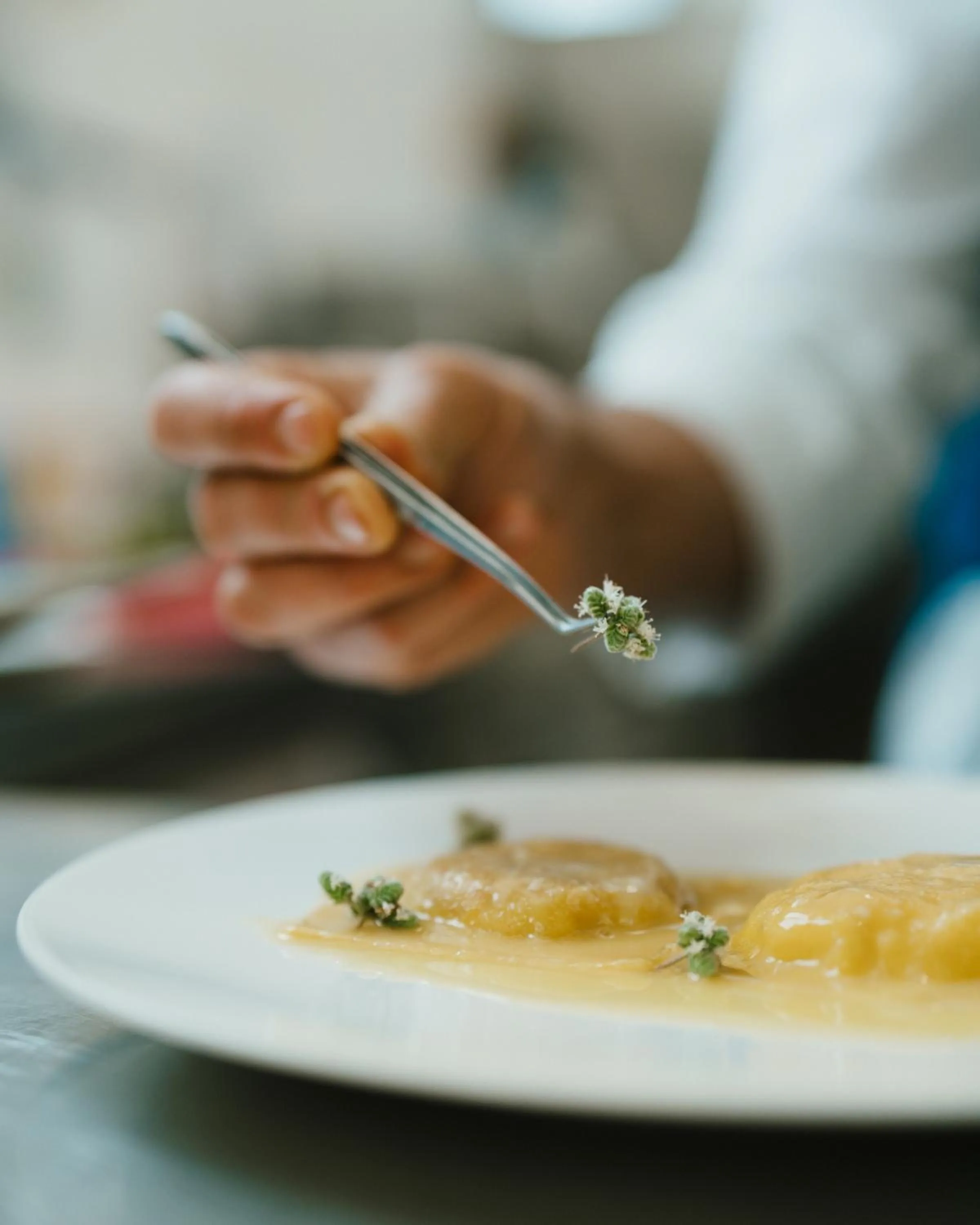 Restaurant/places to eat in Masseria Corsano