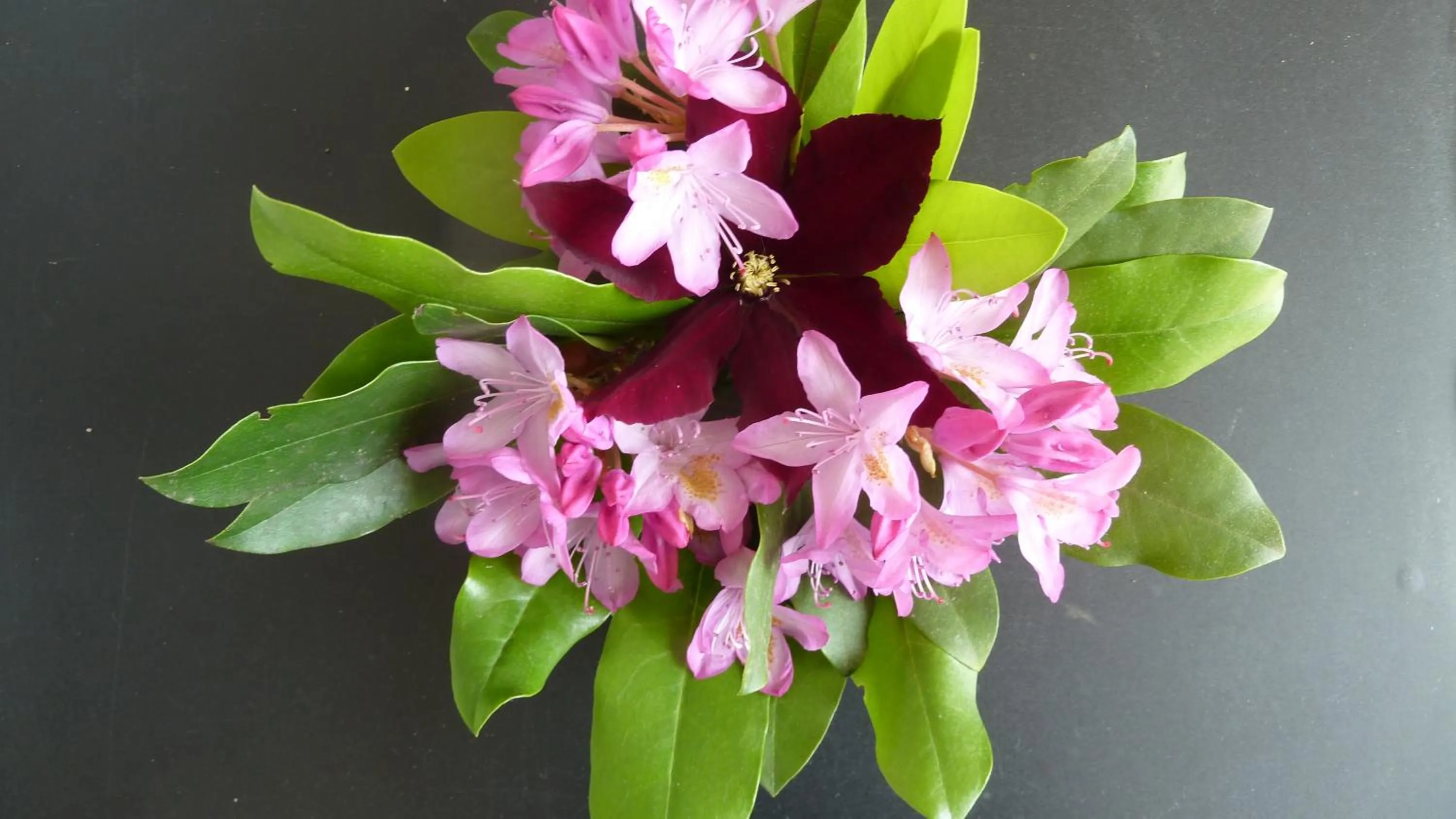 View (from property/room) in Chambres d'hôtes Le Saleix