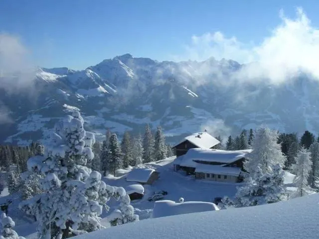 Steinerhaus Berggasthof
