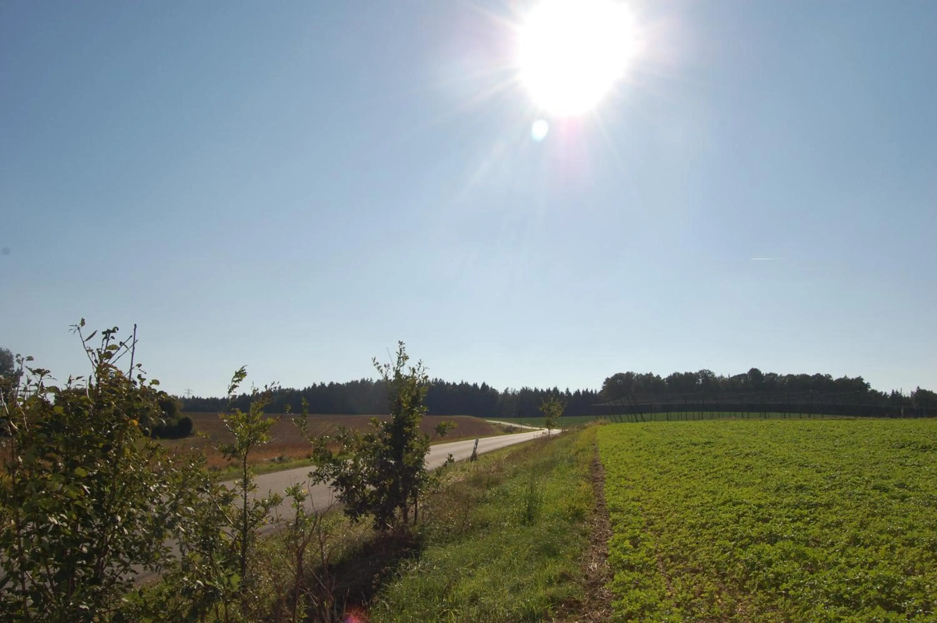 Natural landscape in Hotel Sixt