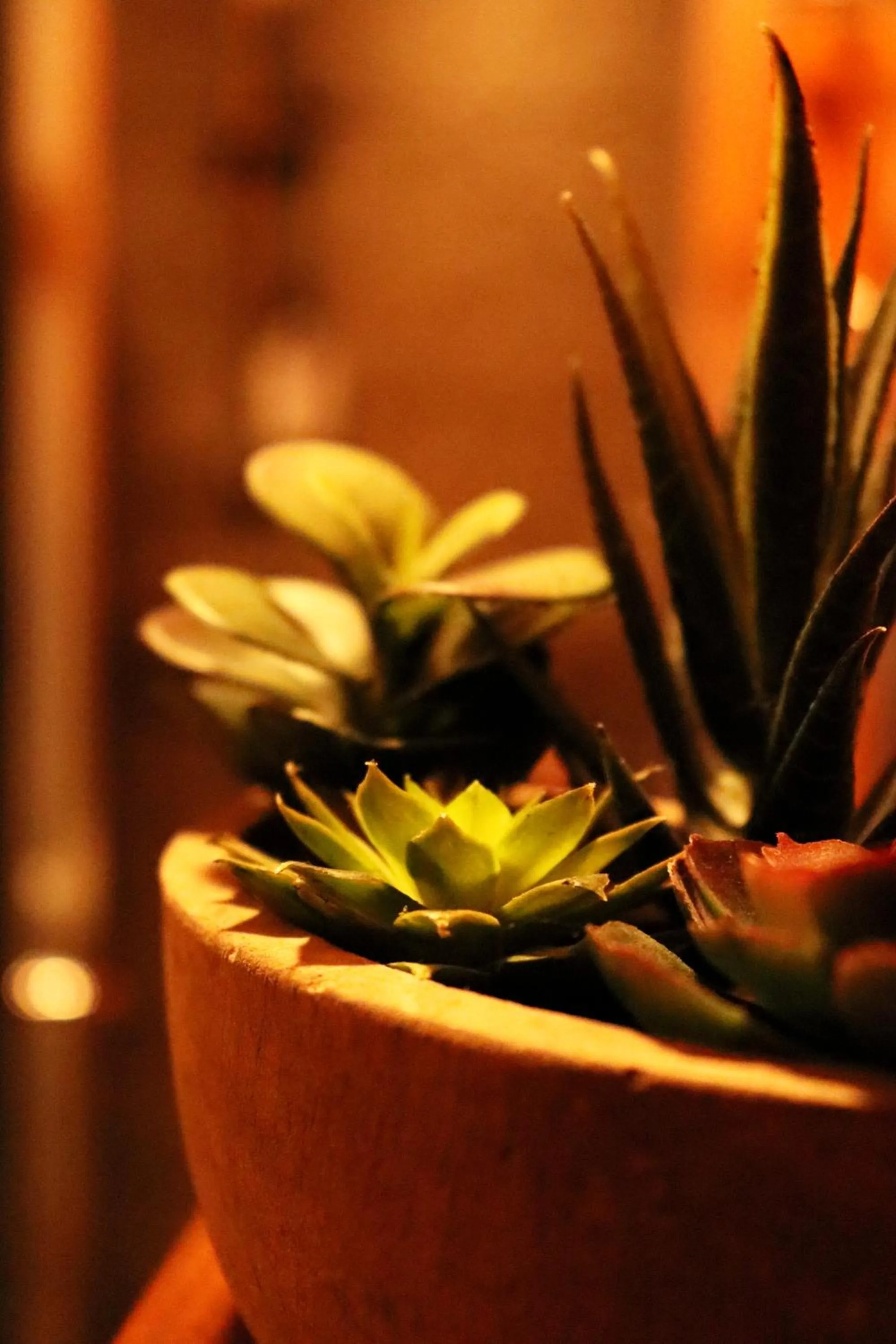 Bathroom in Il-Bàrraġ Farmhouse B&B - Gozo Traditional Hospitality