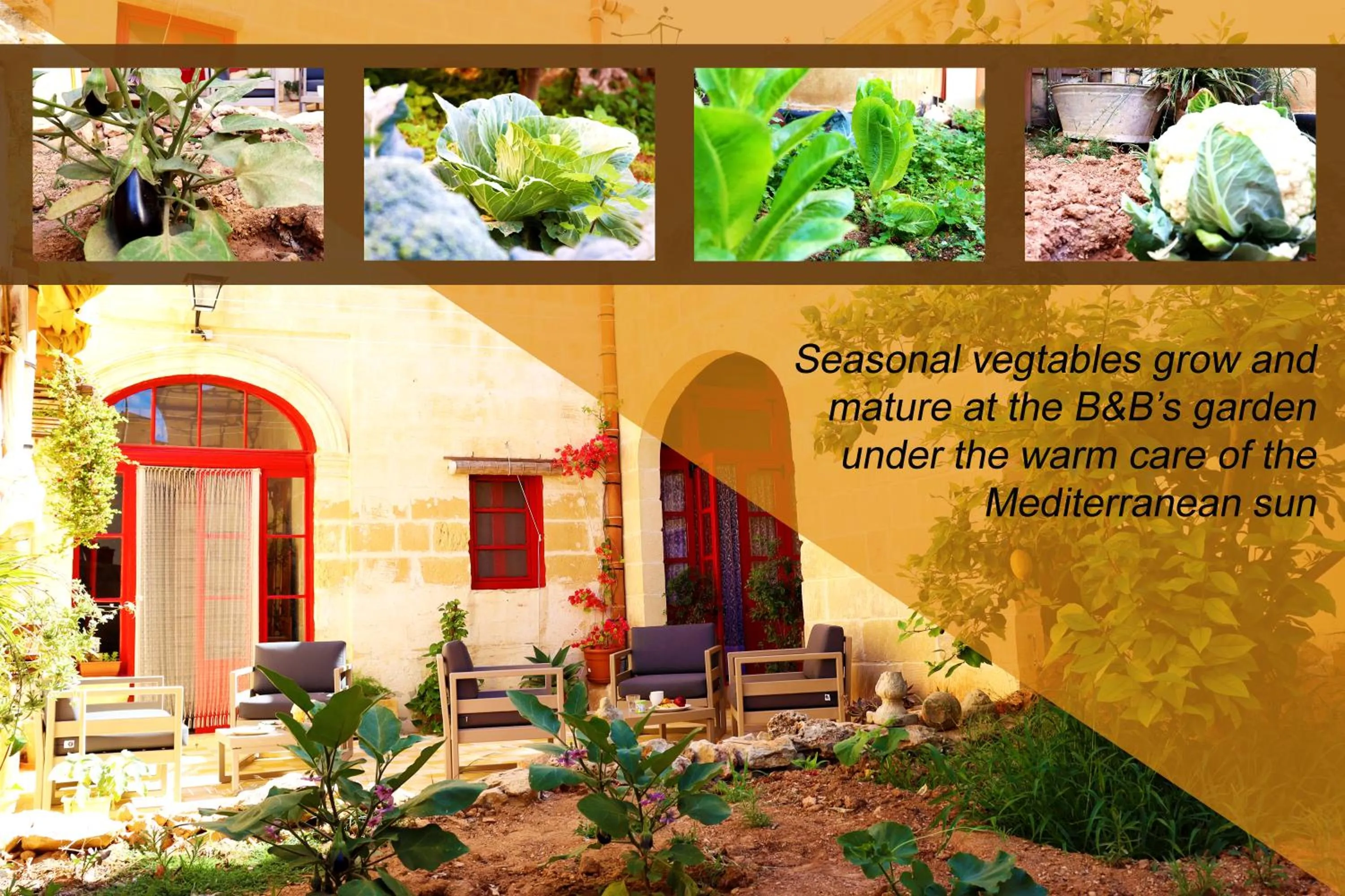 Inner courtyard view in Il-Bàrraġ Farmhouse B&B - Gozo Traditional Hospitality