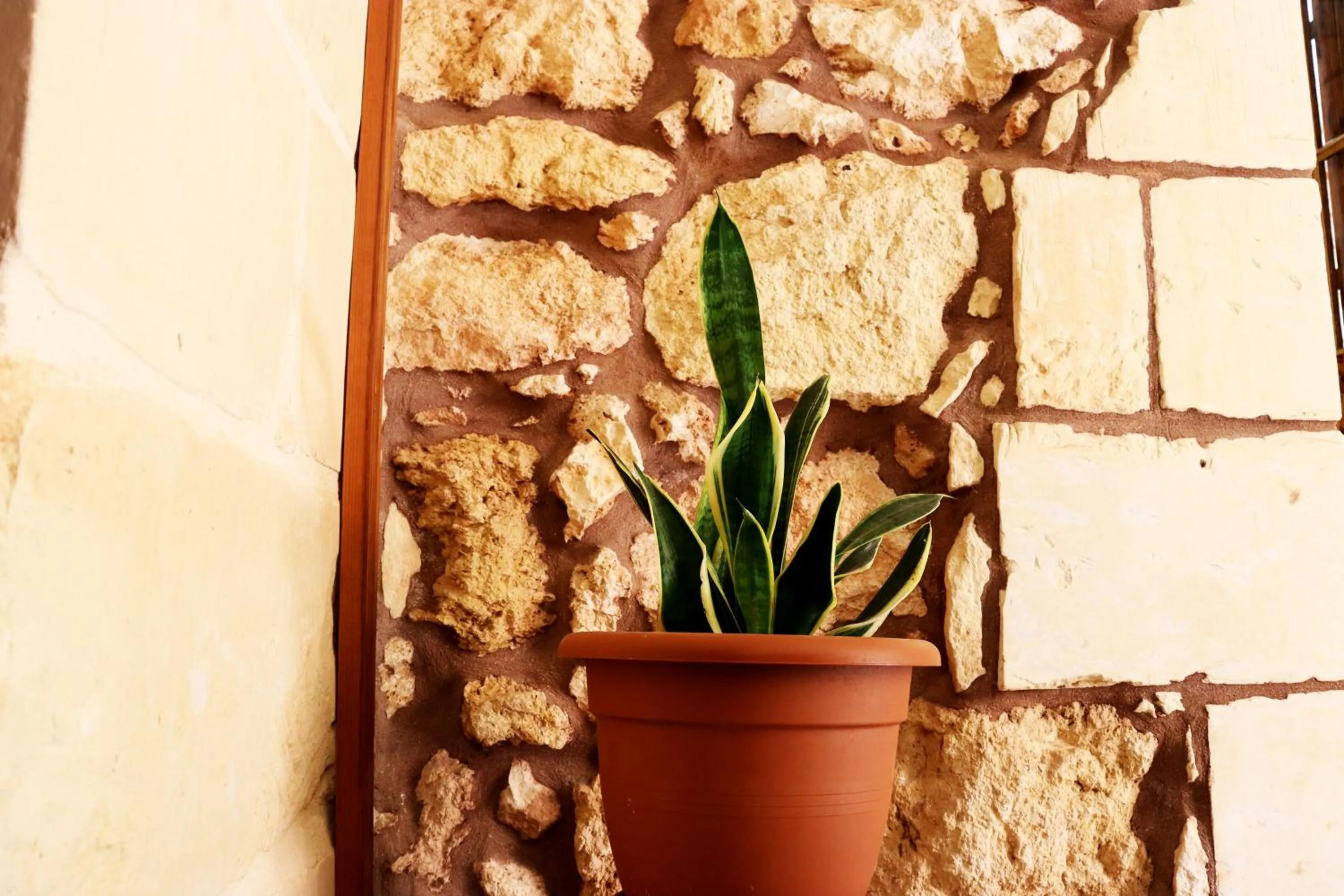 Property building in Il-Bàrraġ Farmhouse B&B - Gozo Traditional Hospitality