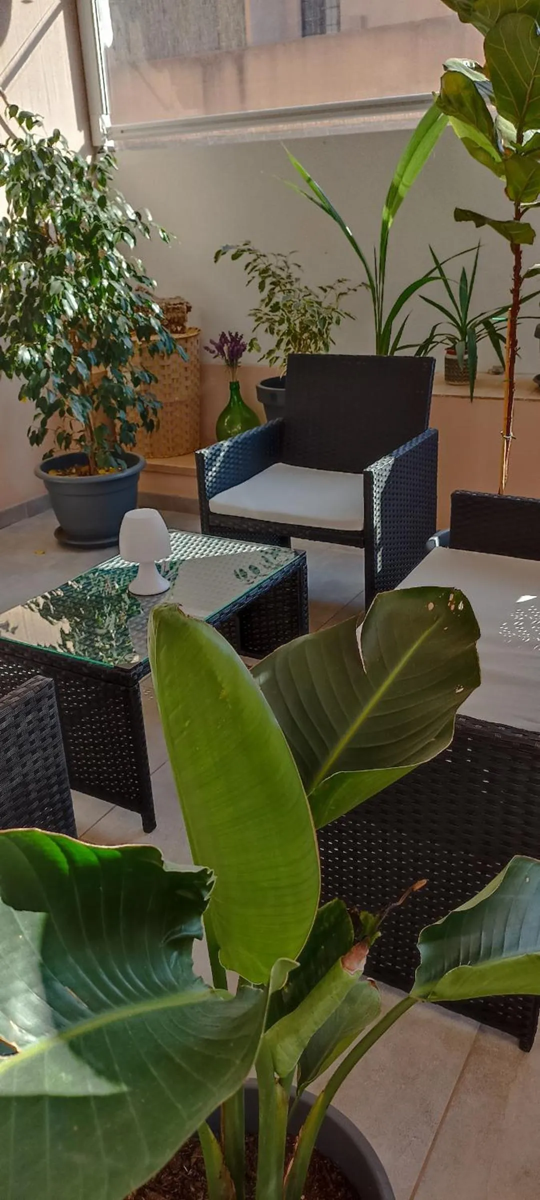 Balcony/Terrace in B&B Alghero Reina