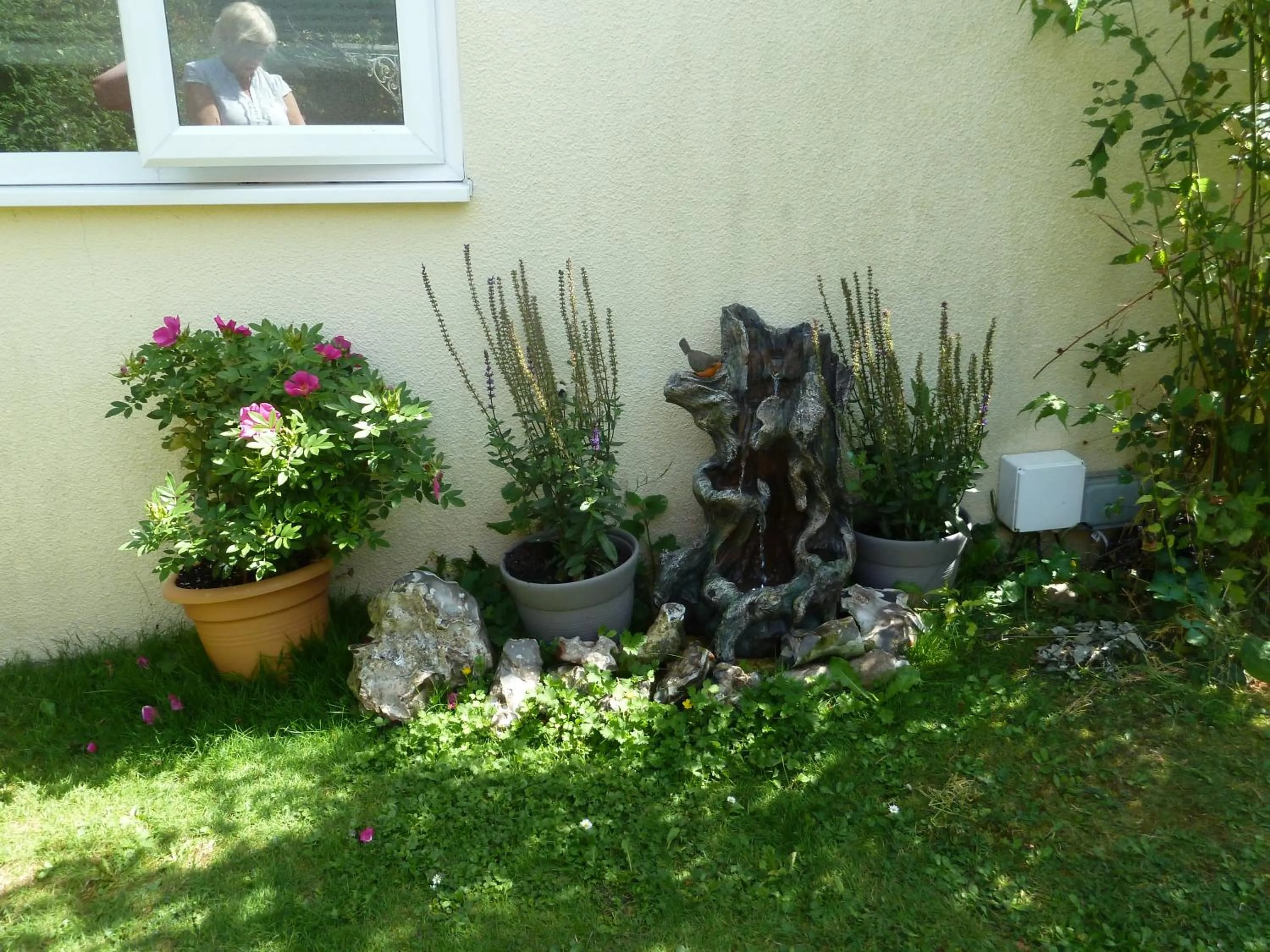 Hillside Self Catering