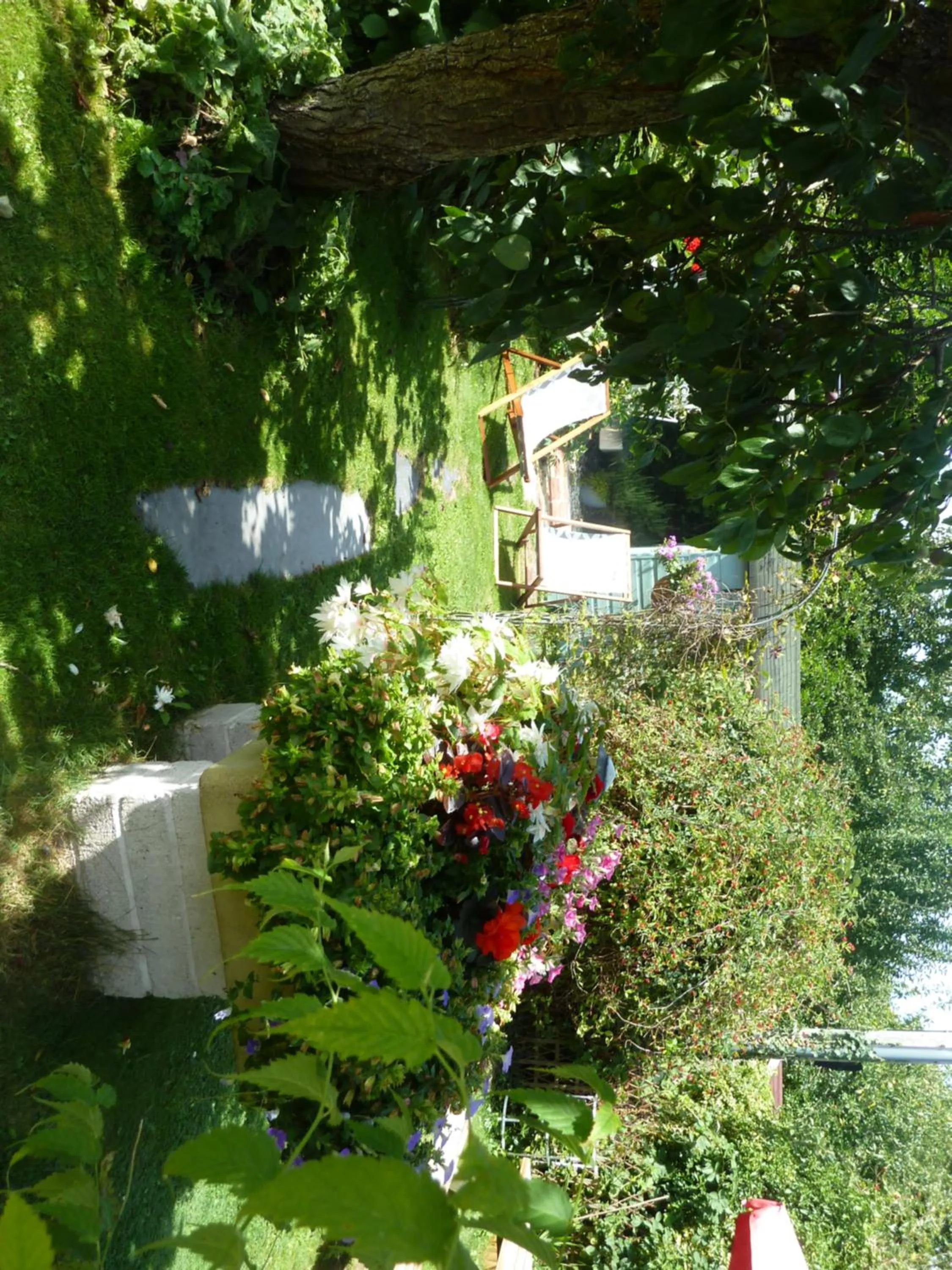 Garden view in Hillside Self Catering