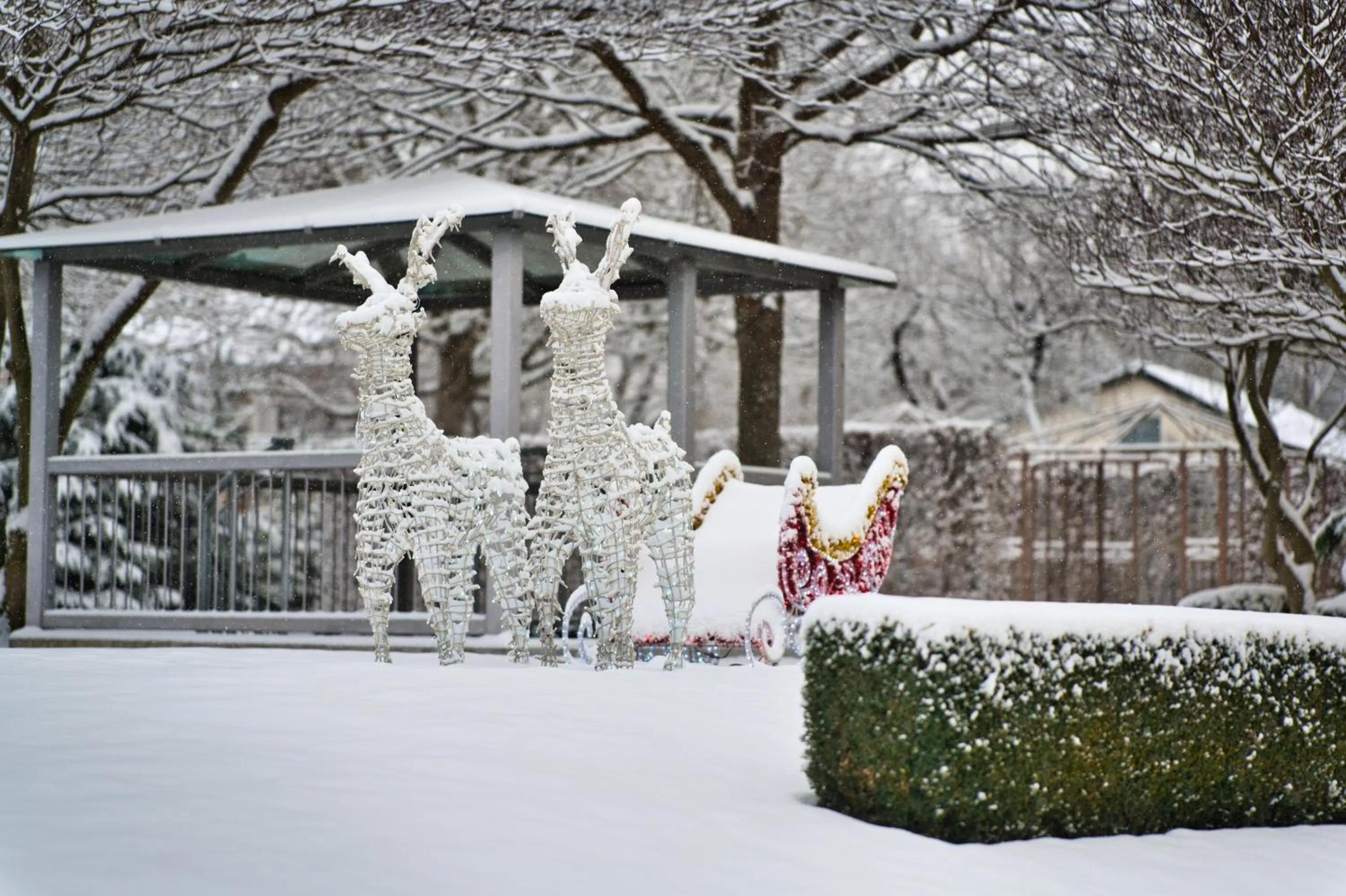 Garden in Hotel am Schlosspark Zum Kurfürst
