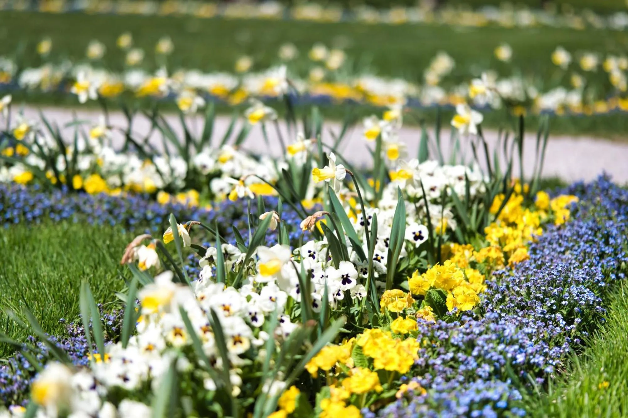 Neighbourhood in Hotel am Schlosspark Zum Kurfürst