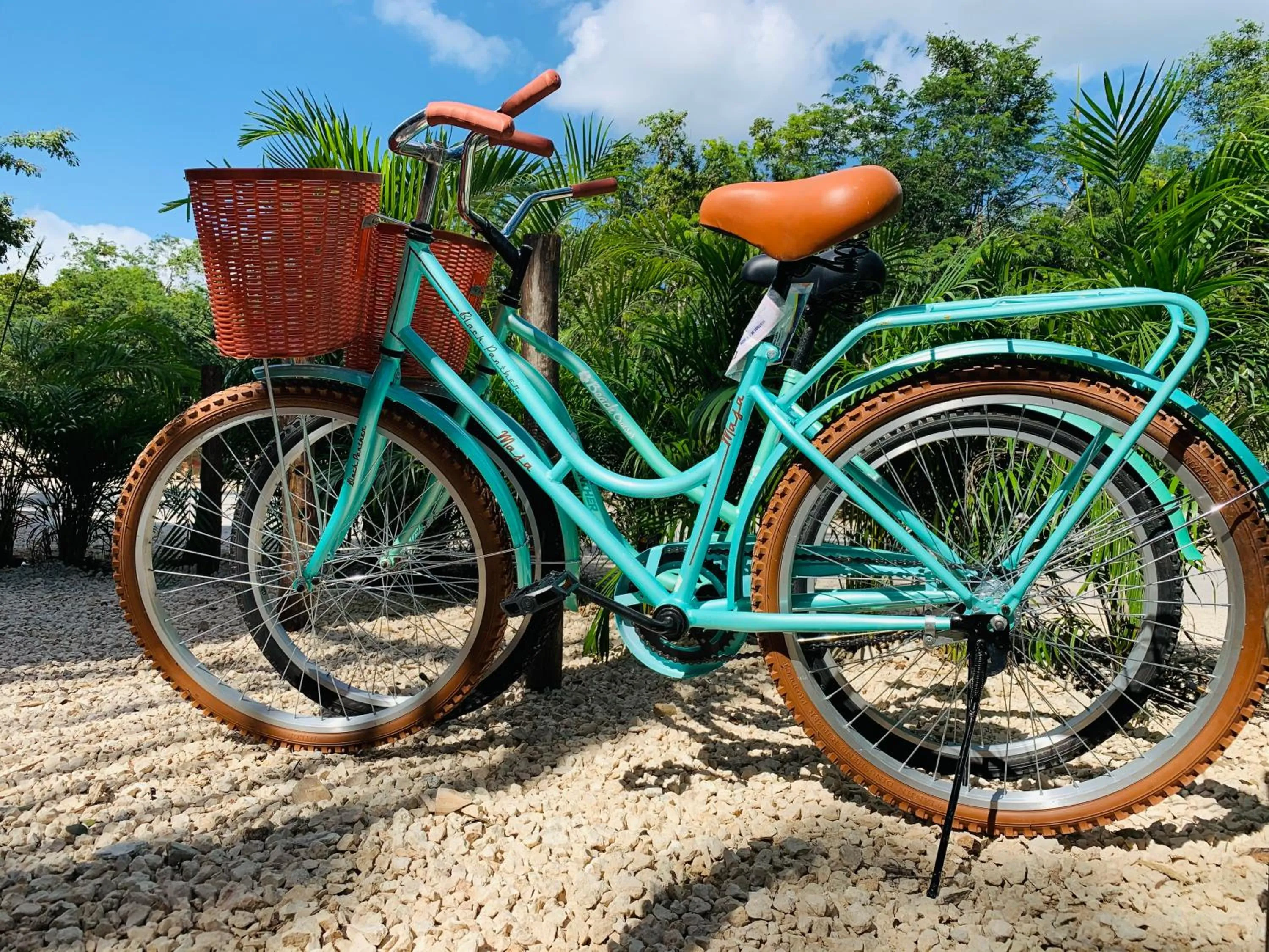 Cycling in Vida Boho Apart 16 with special fee to access Hotel Bardo