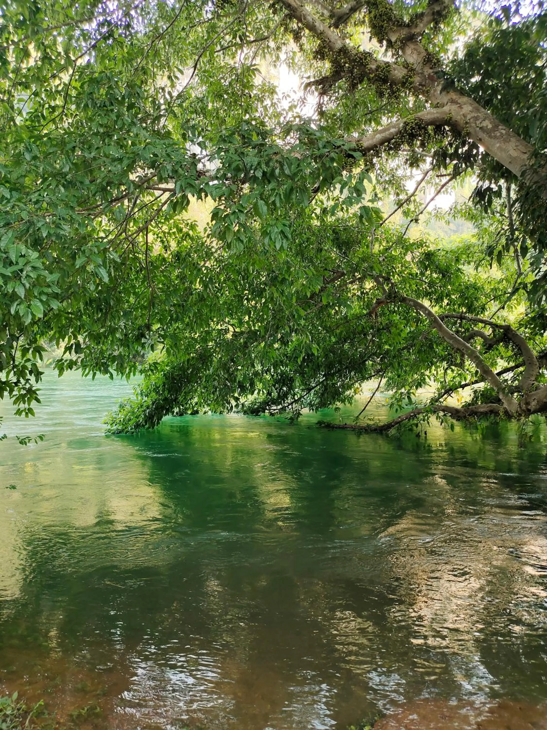 Inner courtyard view in Bansuanphutarn