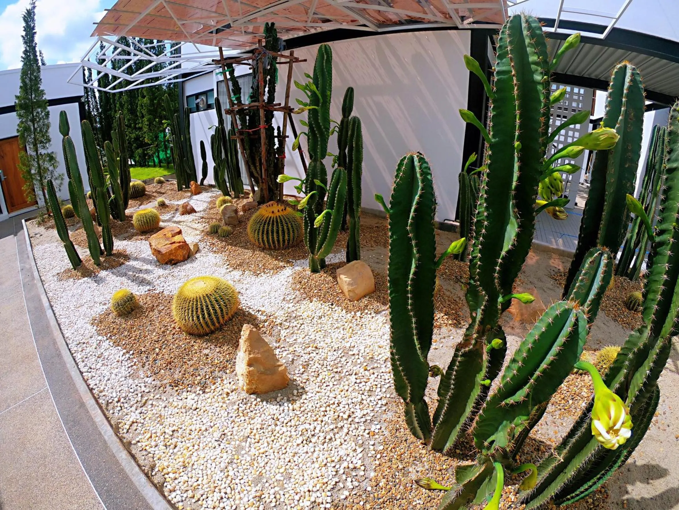 Garden in The Gold Living Life