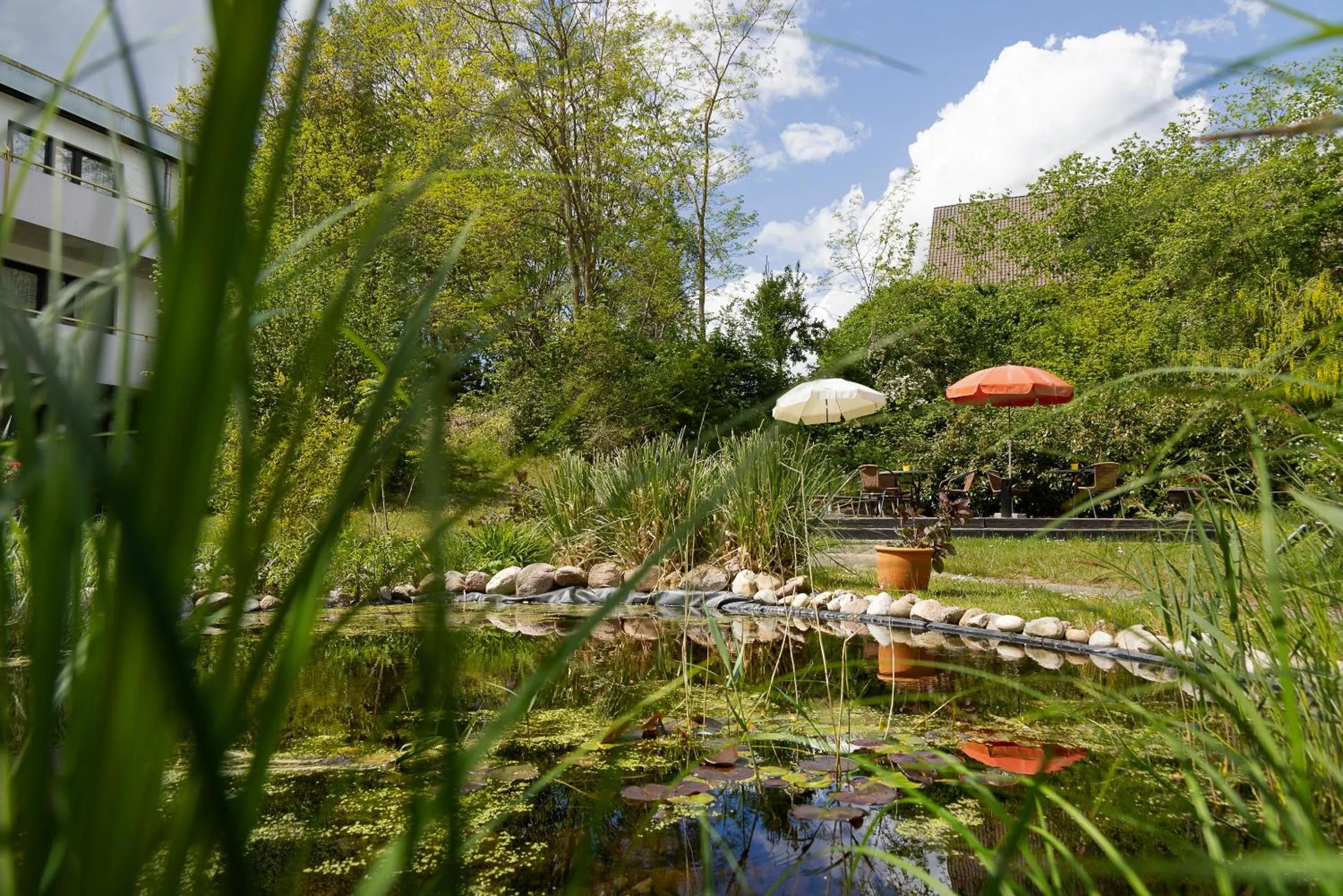 Garden view in Parkhotel Hitzacker