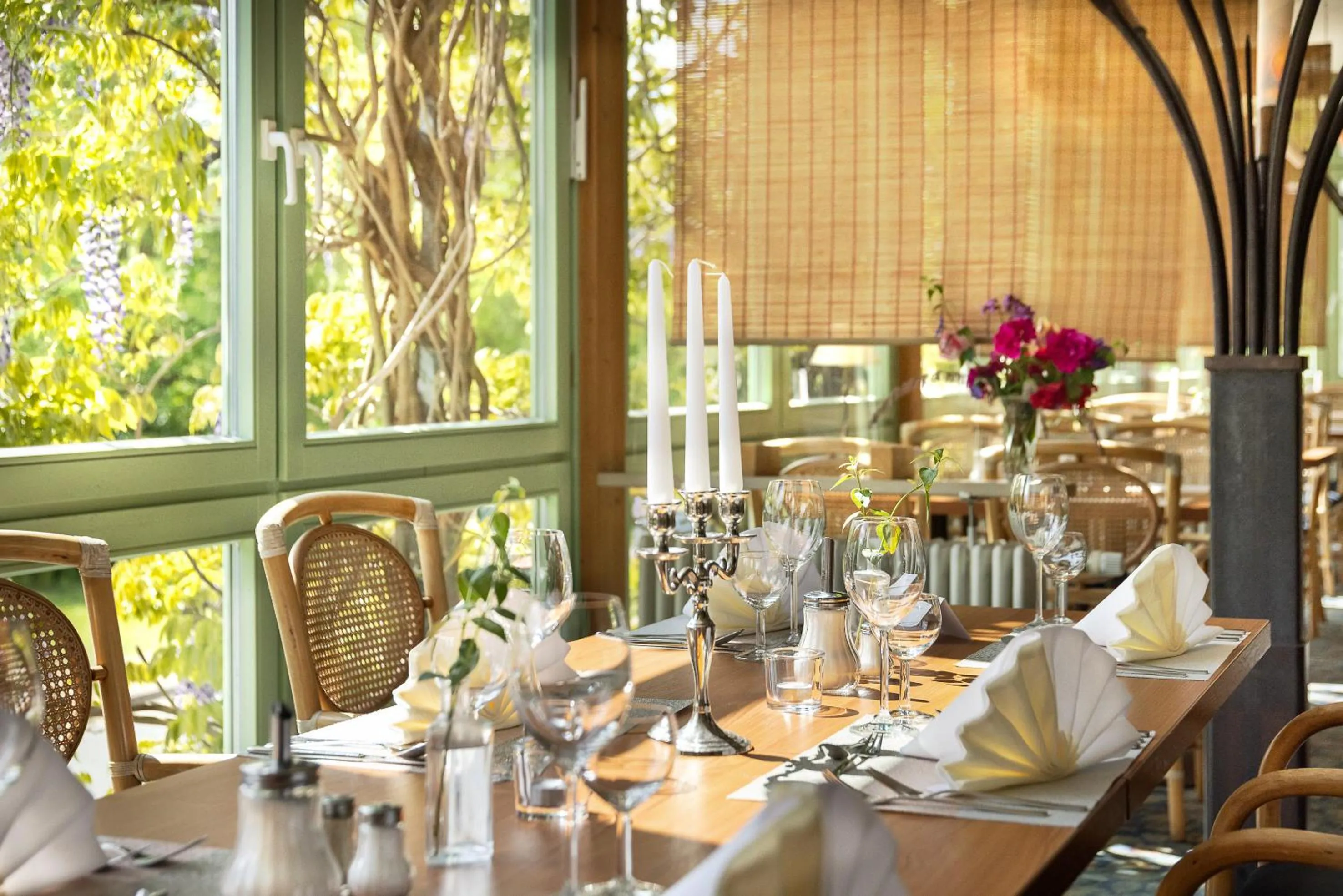 Restaurant/places to eat in Parkhotel Hitzacker