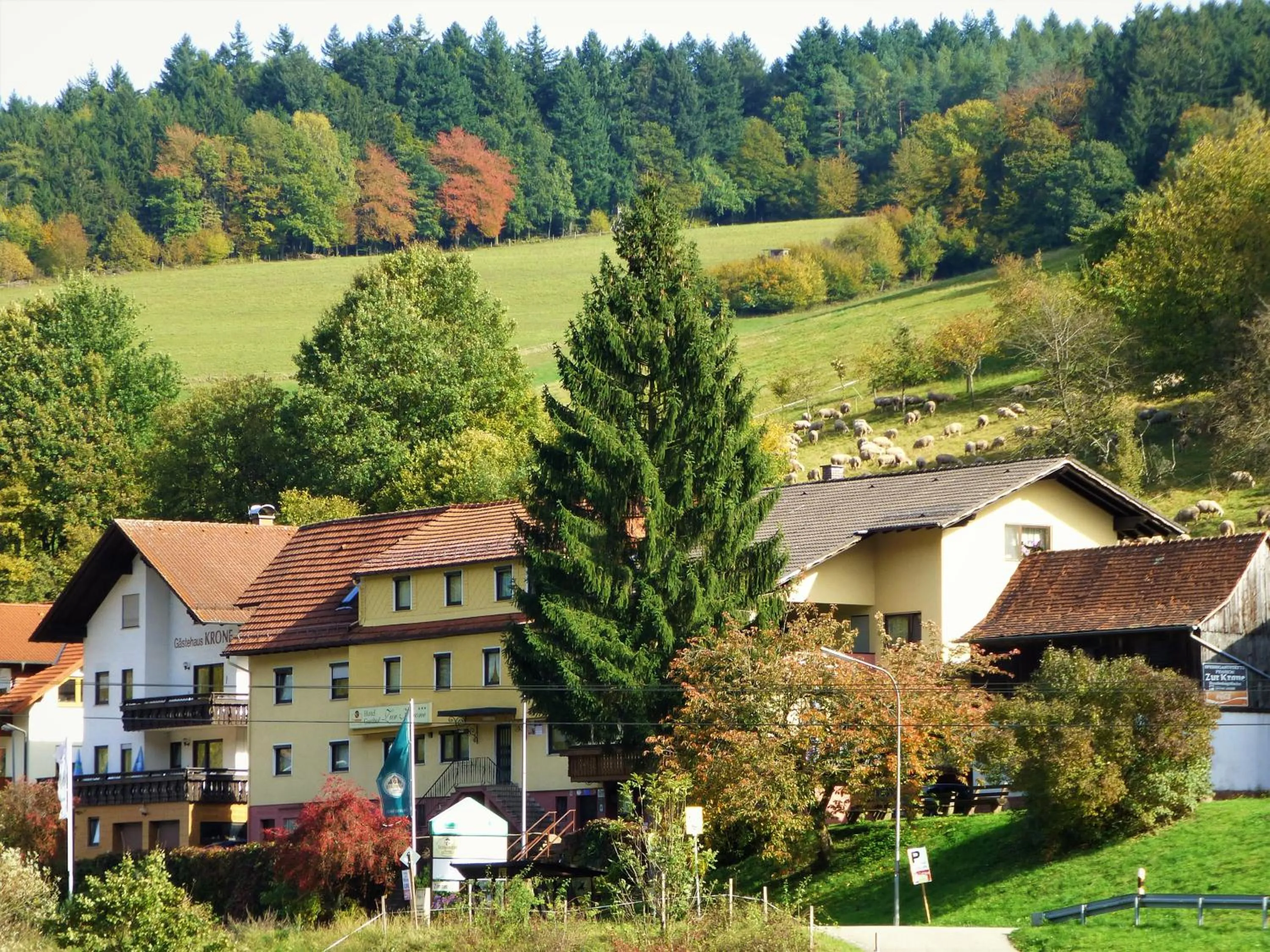 Property building in Hotel Gasthof Zur Krone