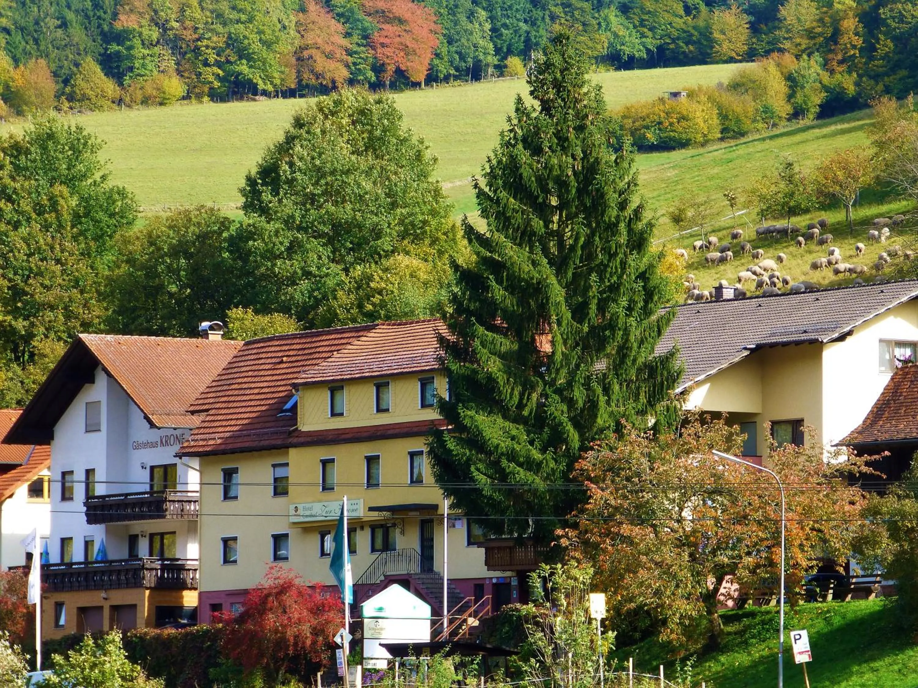 Hotel Gasthof Zur Krone