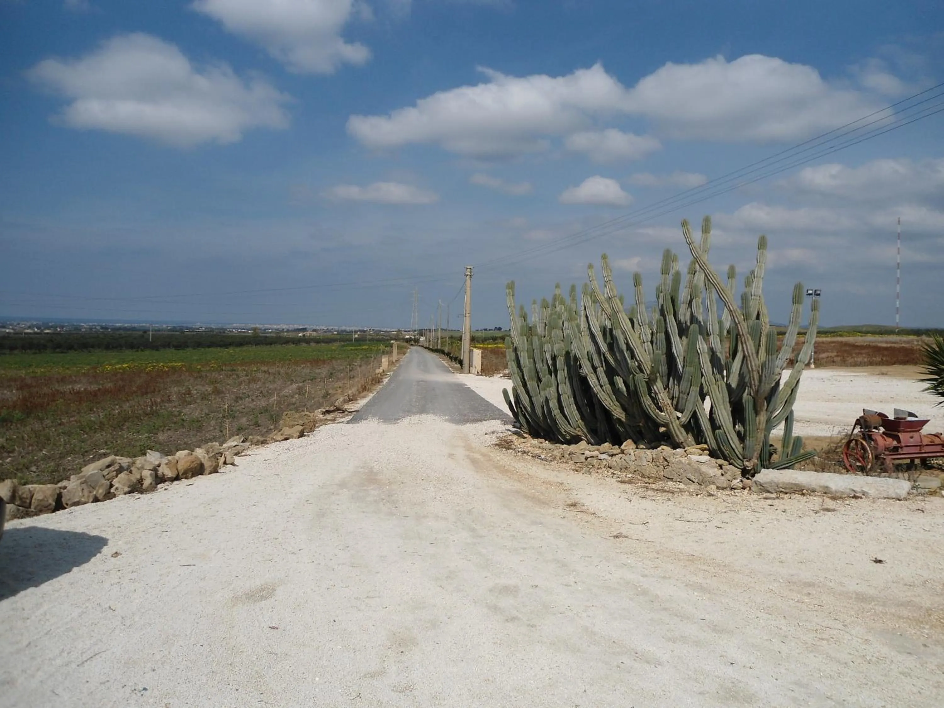 Facade/entrance in Agriturismo sanacore di sanacore salvatore