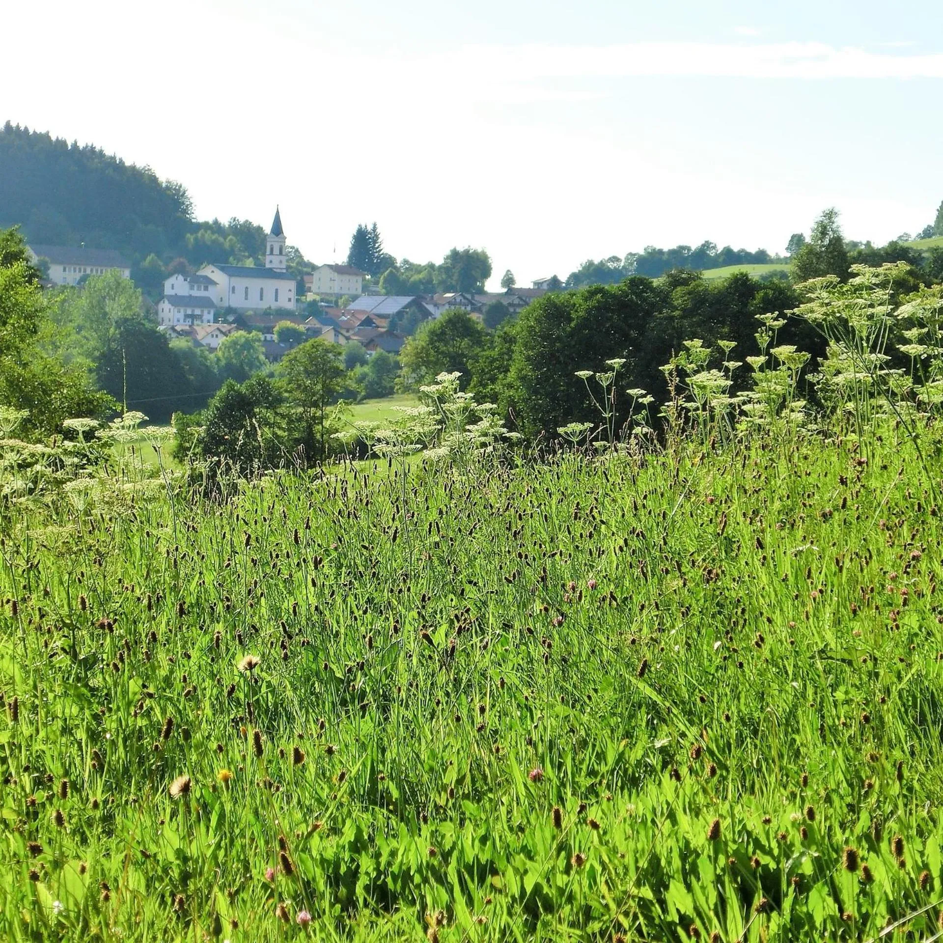 On site in Oberer Wirt