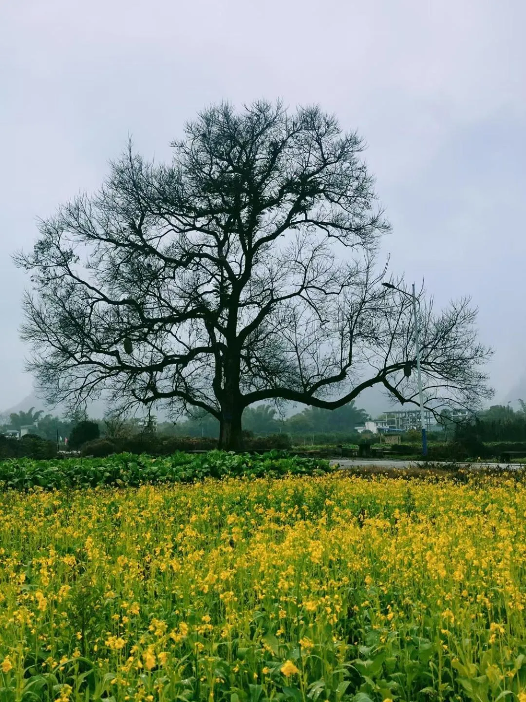 Nearby landmark in YangShuo Eden Inn