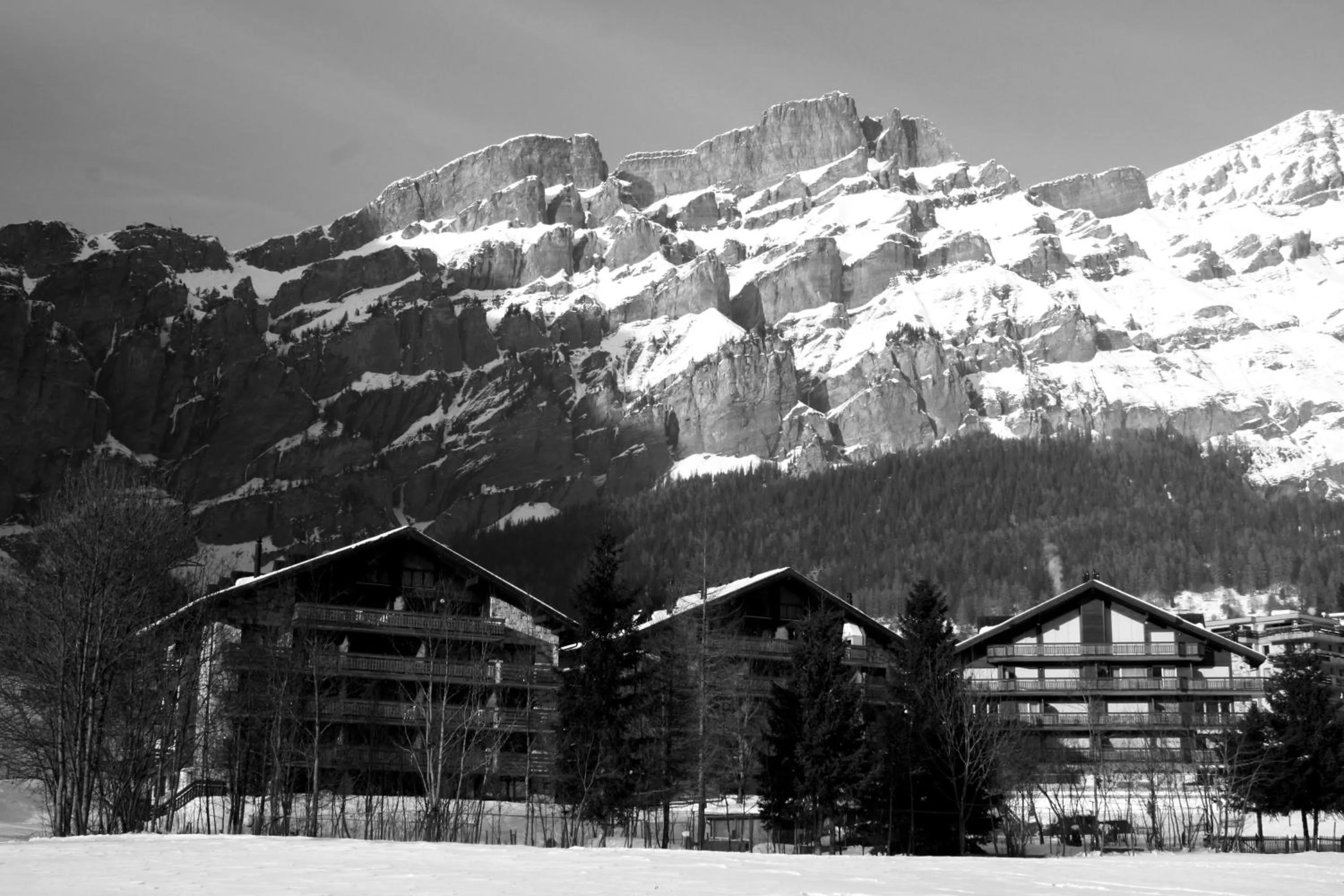 Skiing in Grichting Hotel & Serviced Apartments