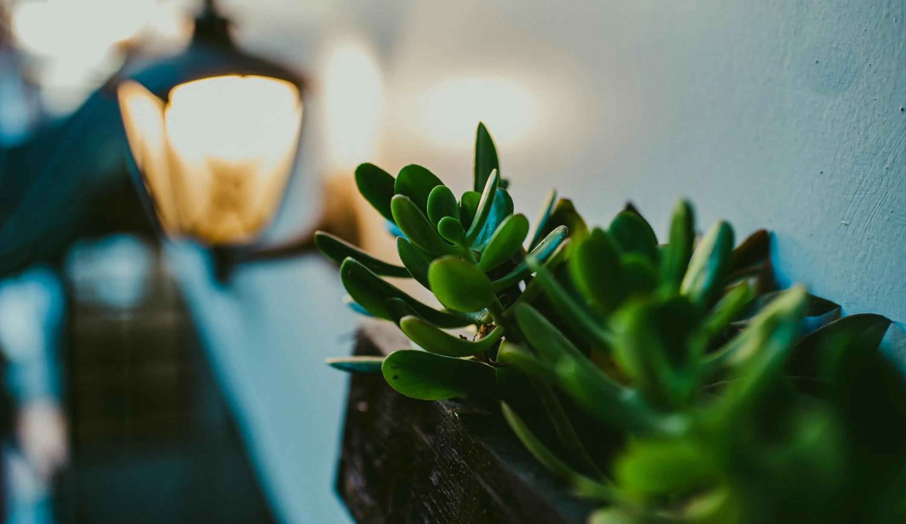 Decorative detail in Rupa Rupa High Jungle Eco B&B