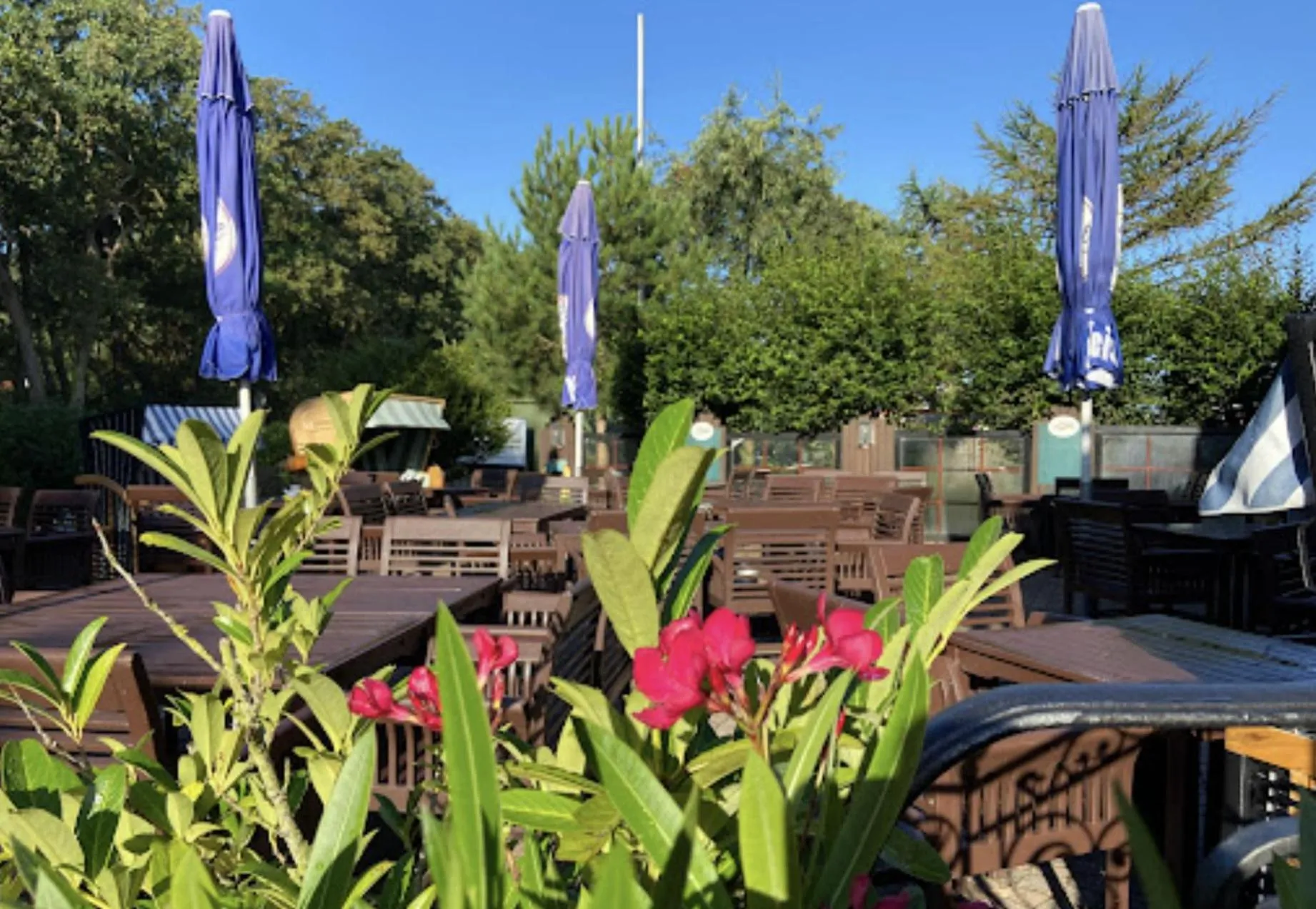 Restaurant/places to eat in Hotel Wernerwald