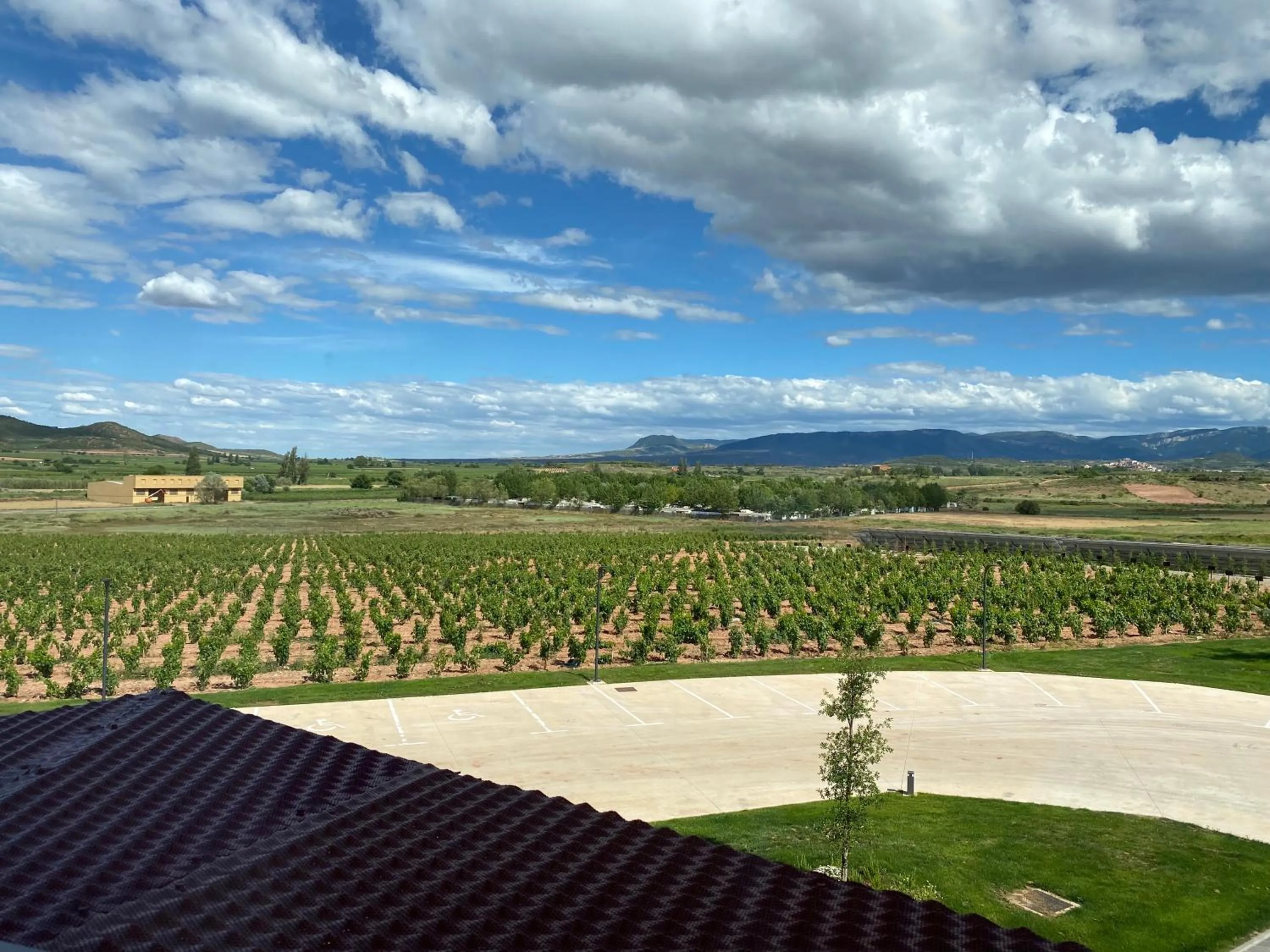 View (from property/room) in Hotel Bodega FyA - GRUPO PIÉROLA