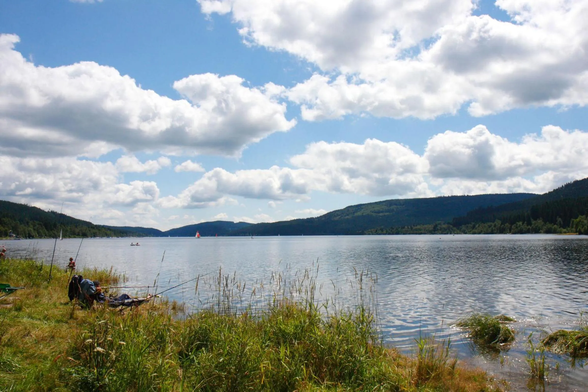 Area and facilities in Parkhotel Waldlust