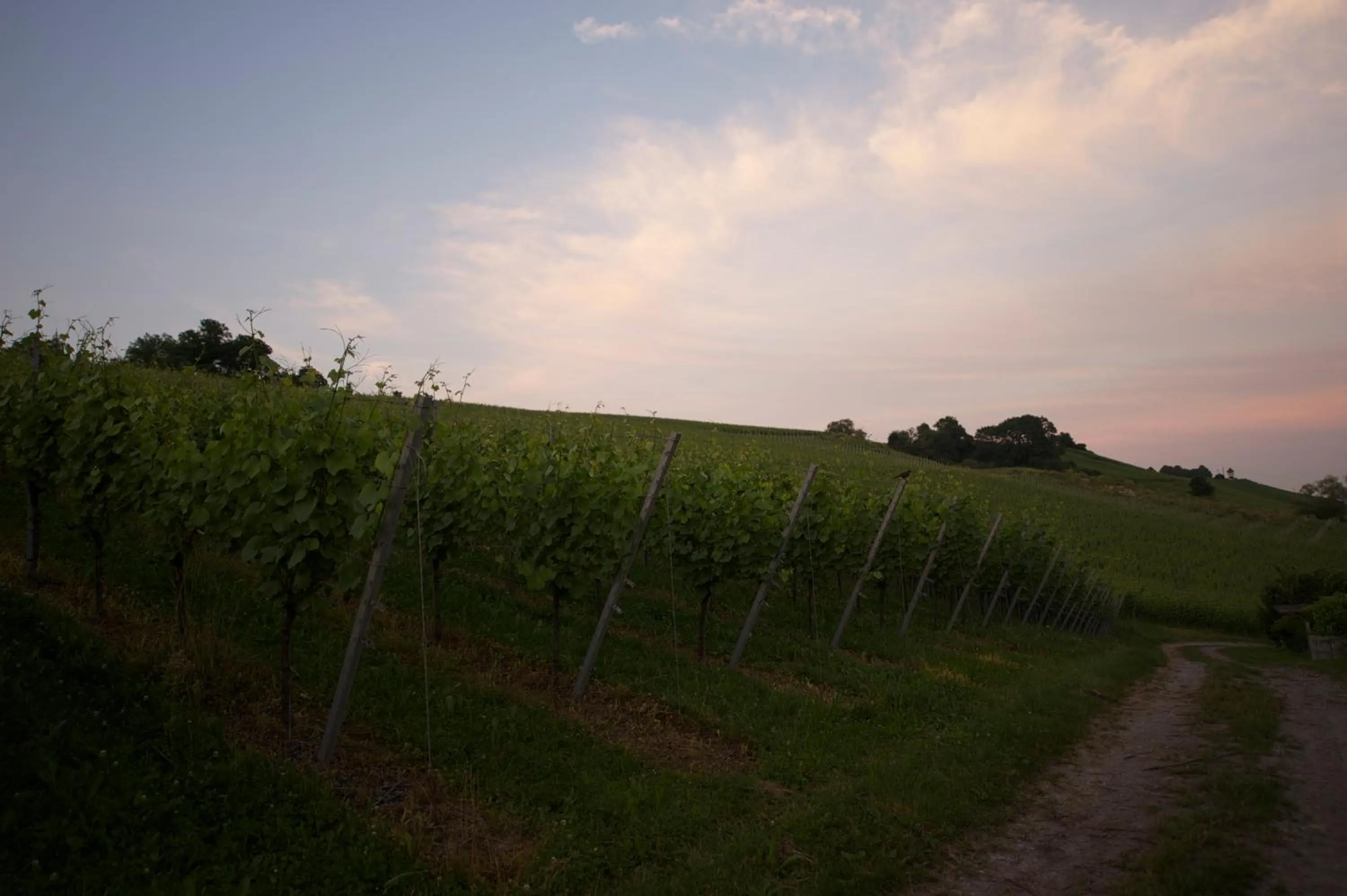 Natural landscape in Seehotel OFF