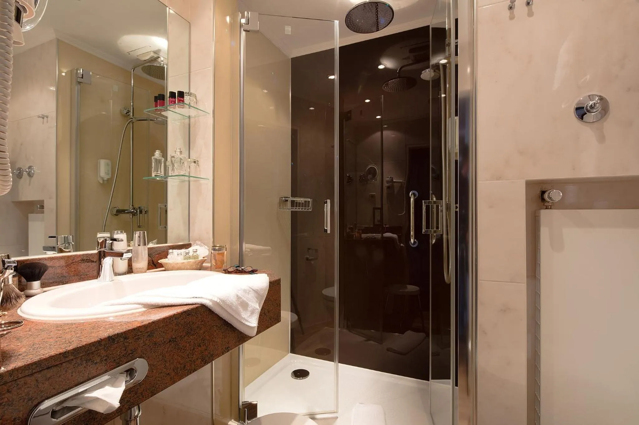 Shower in Hotel Braunschweiger Hof