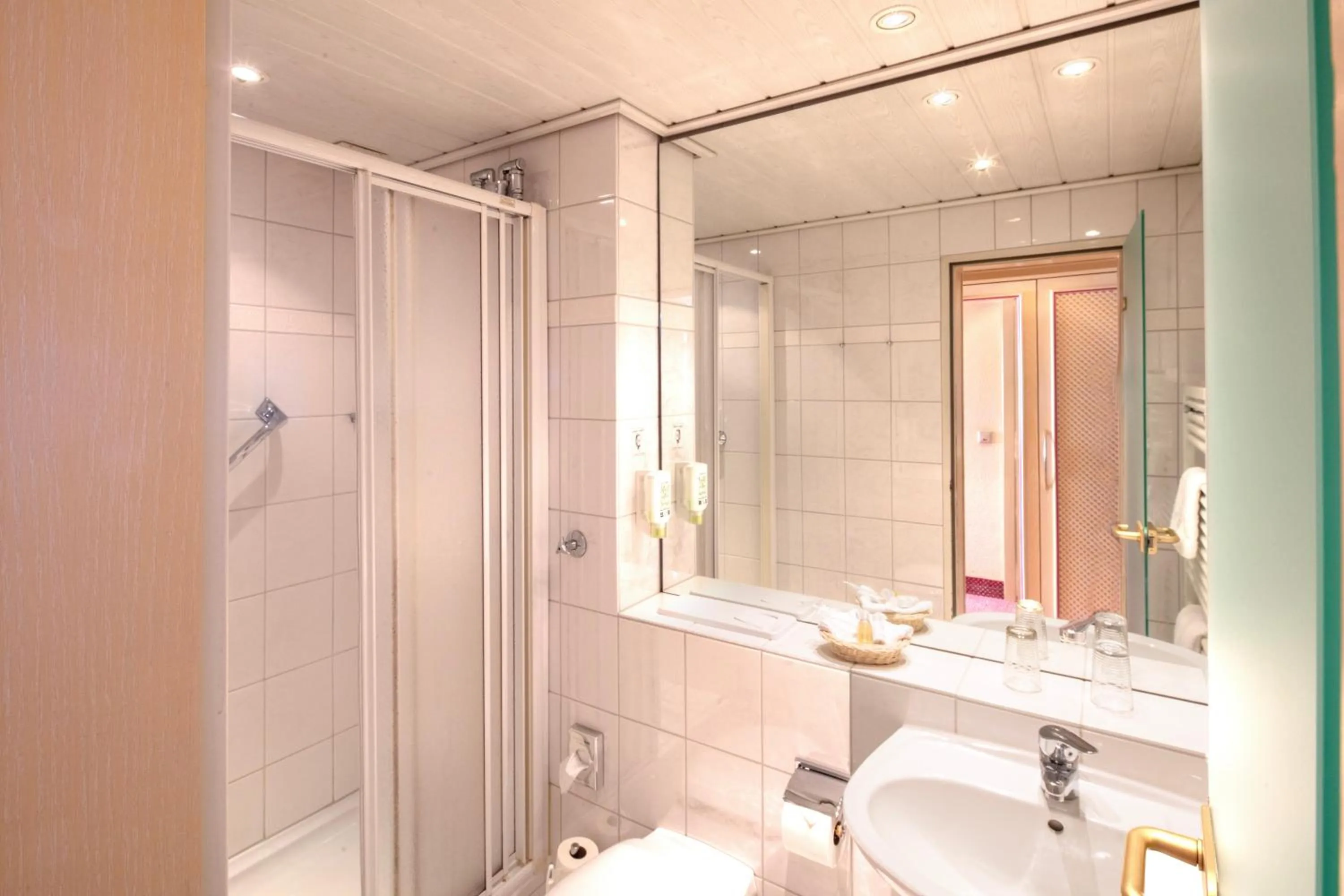 Shower in Hotel Braunschweiger Hof