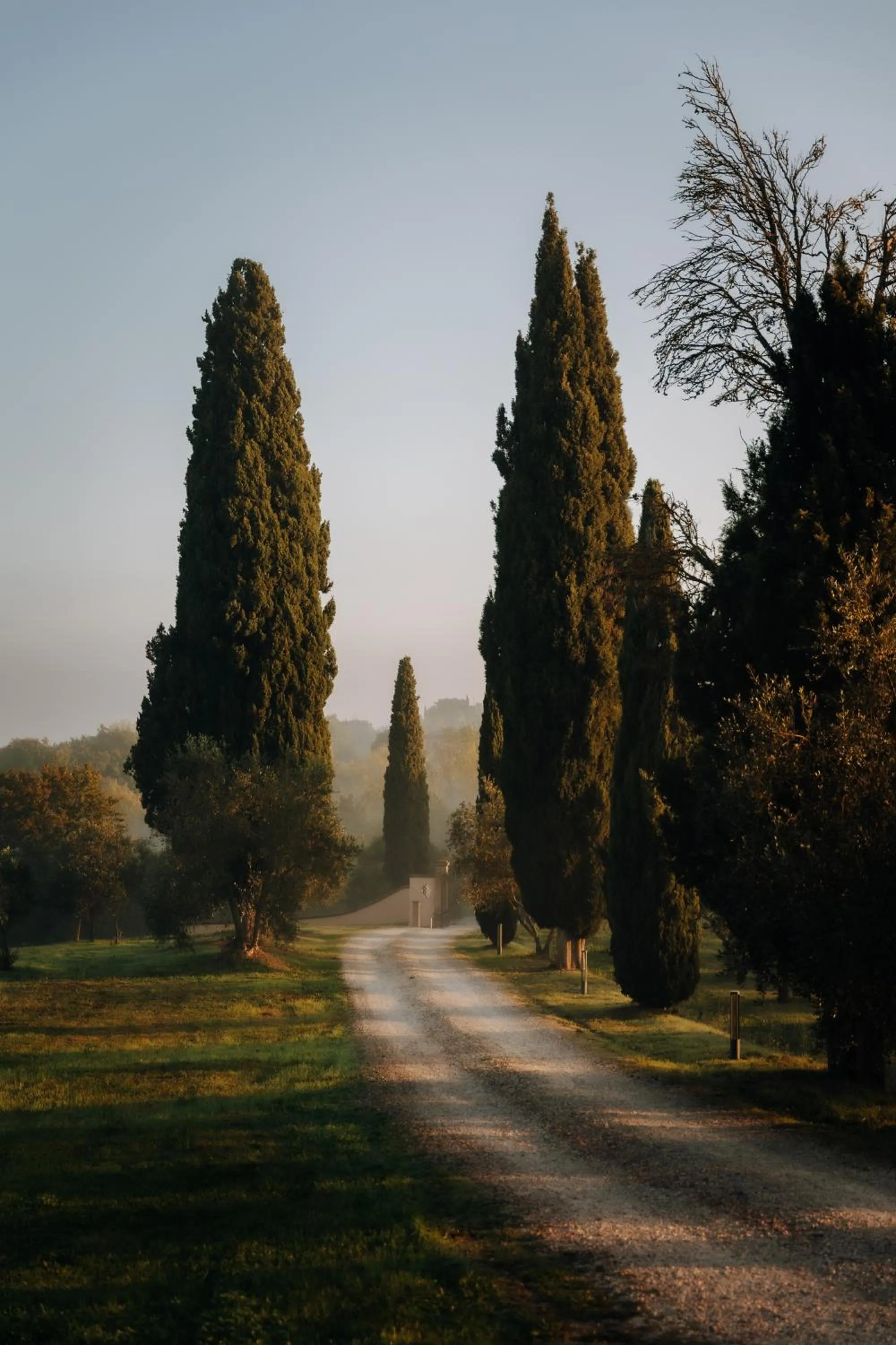 Garden in Porsenna Resort