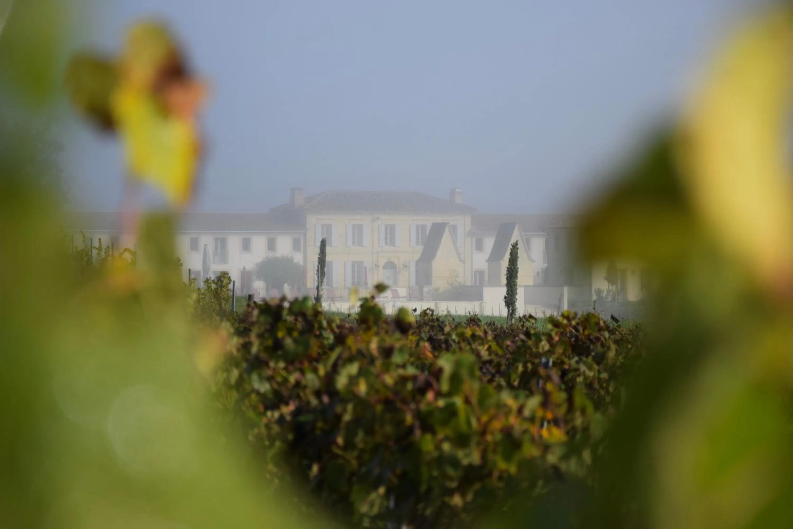 Property building in Château Fage La Maison des Vignes - Saint-Émilion