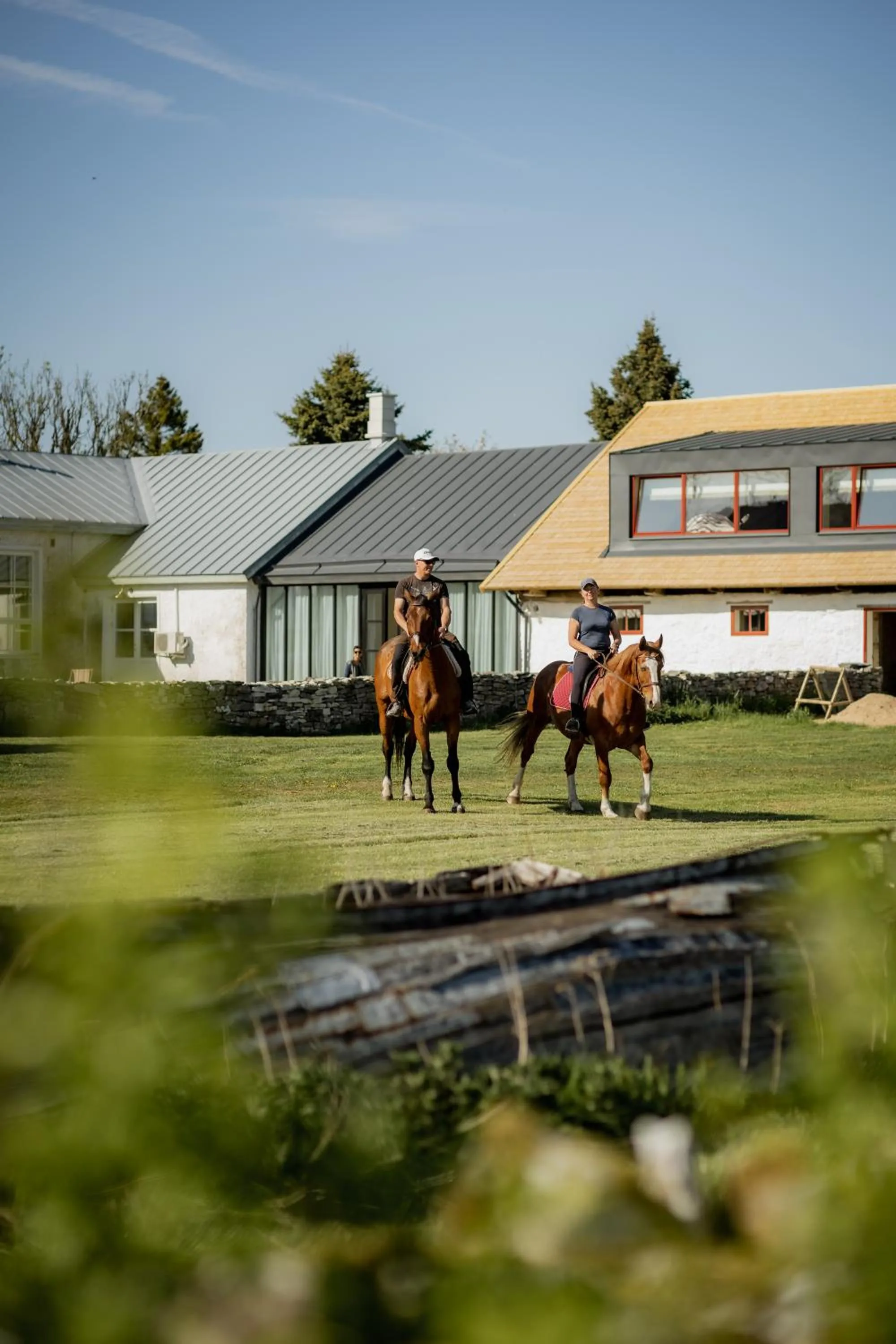 Horse-riding in Pilguse Residency