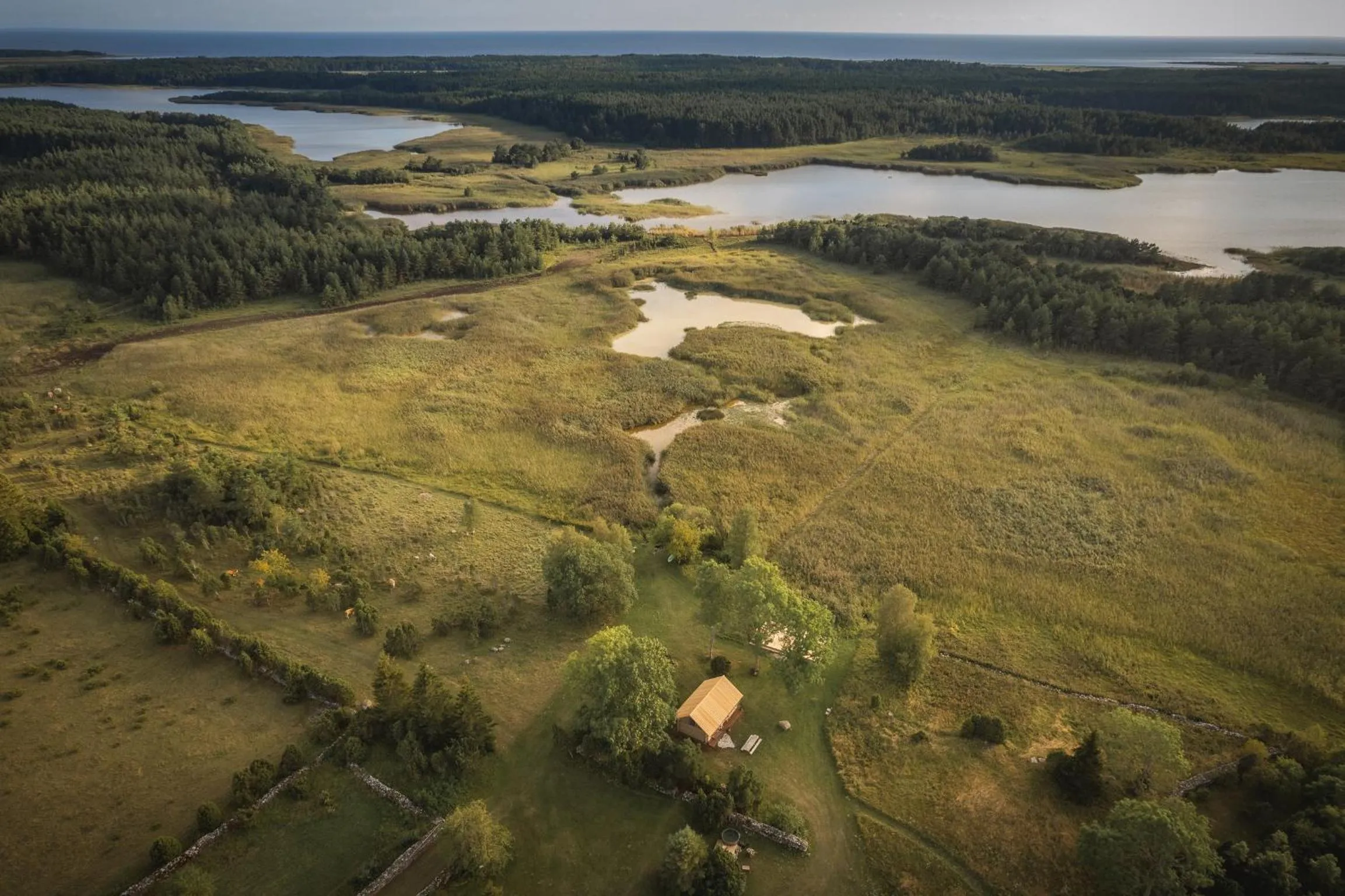 Garden in Pilguse Residency
