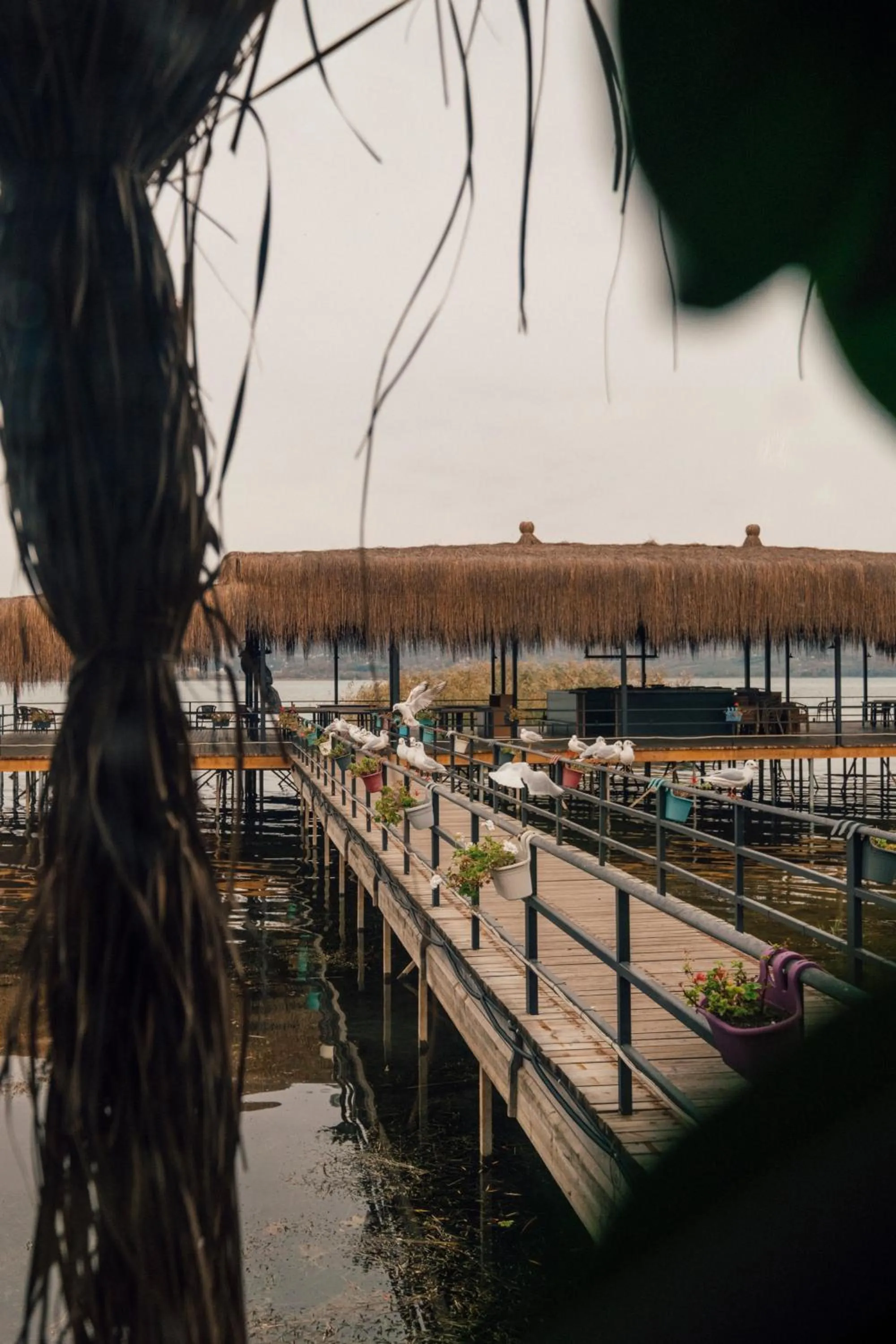 Restaurant/places to eat in Gölevi Resort Sapanca