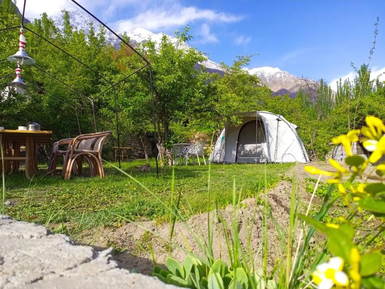Spring in Grapes Garden Resort Hunza