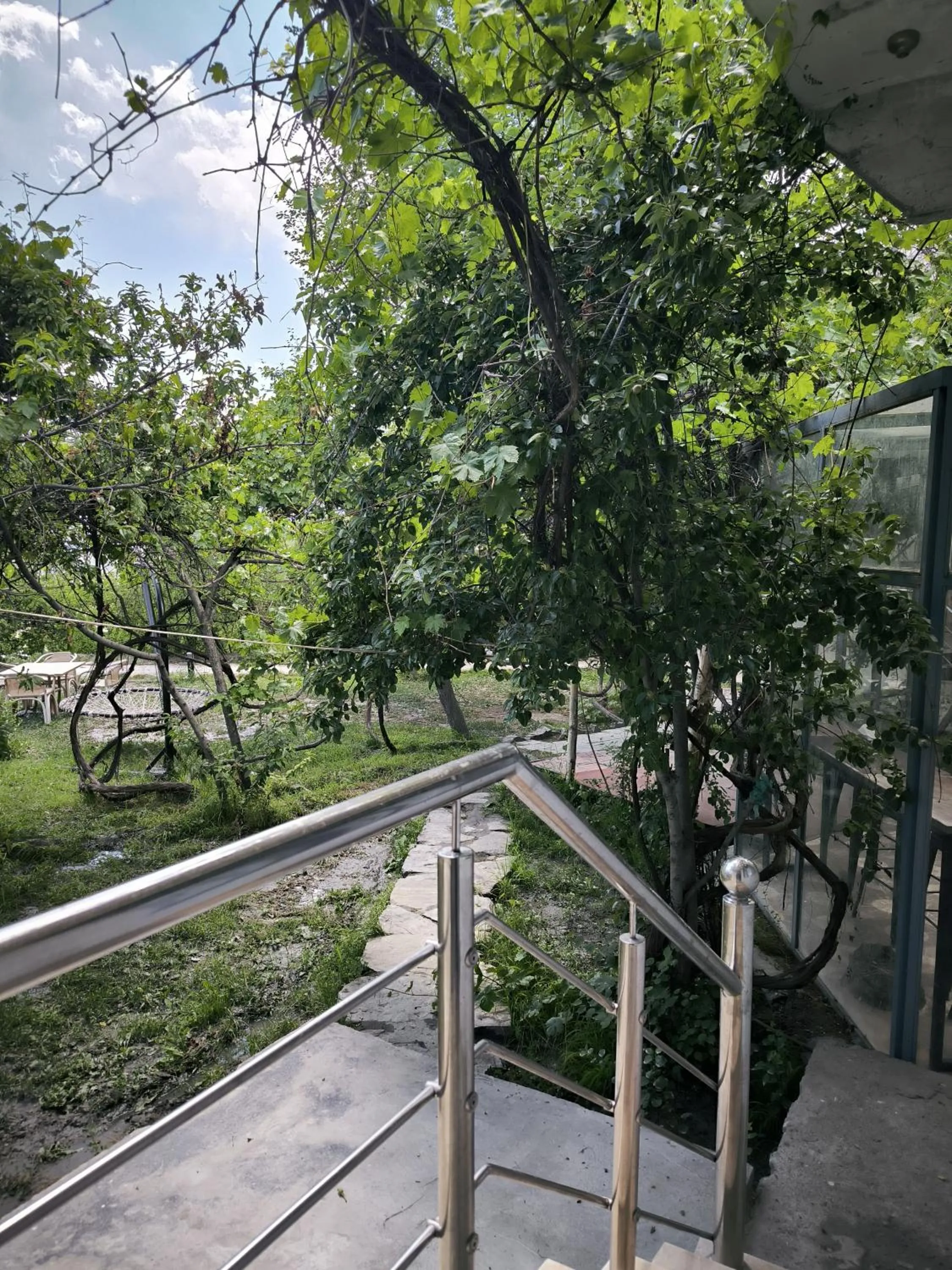 Garden in Grapes Garden Resort Hunza