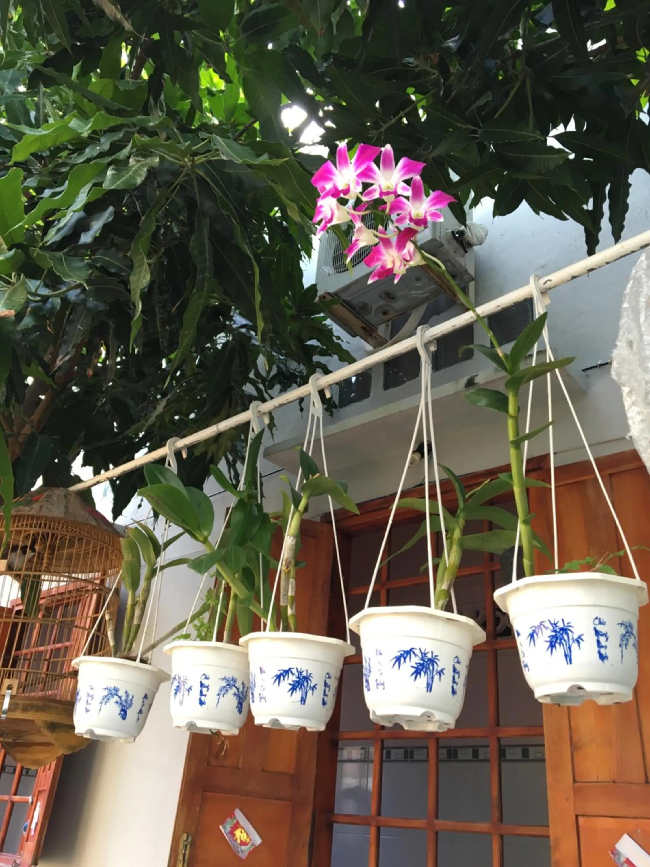 Natural landscape in Minh Anh Garden Hotel