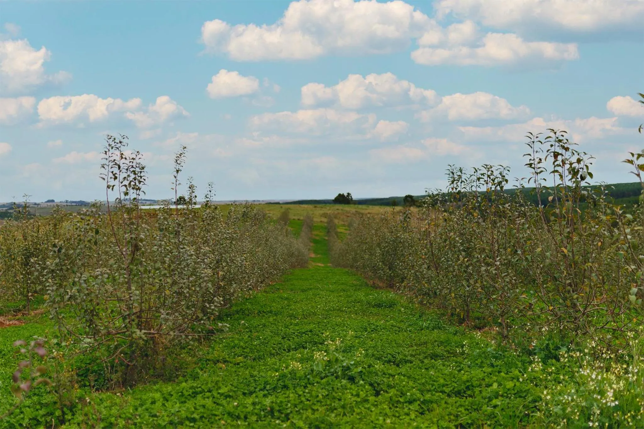 Day in Cerro Azul Hotel Fazenda