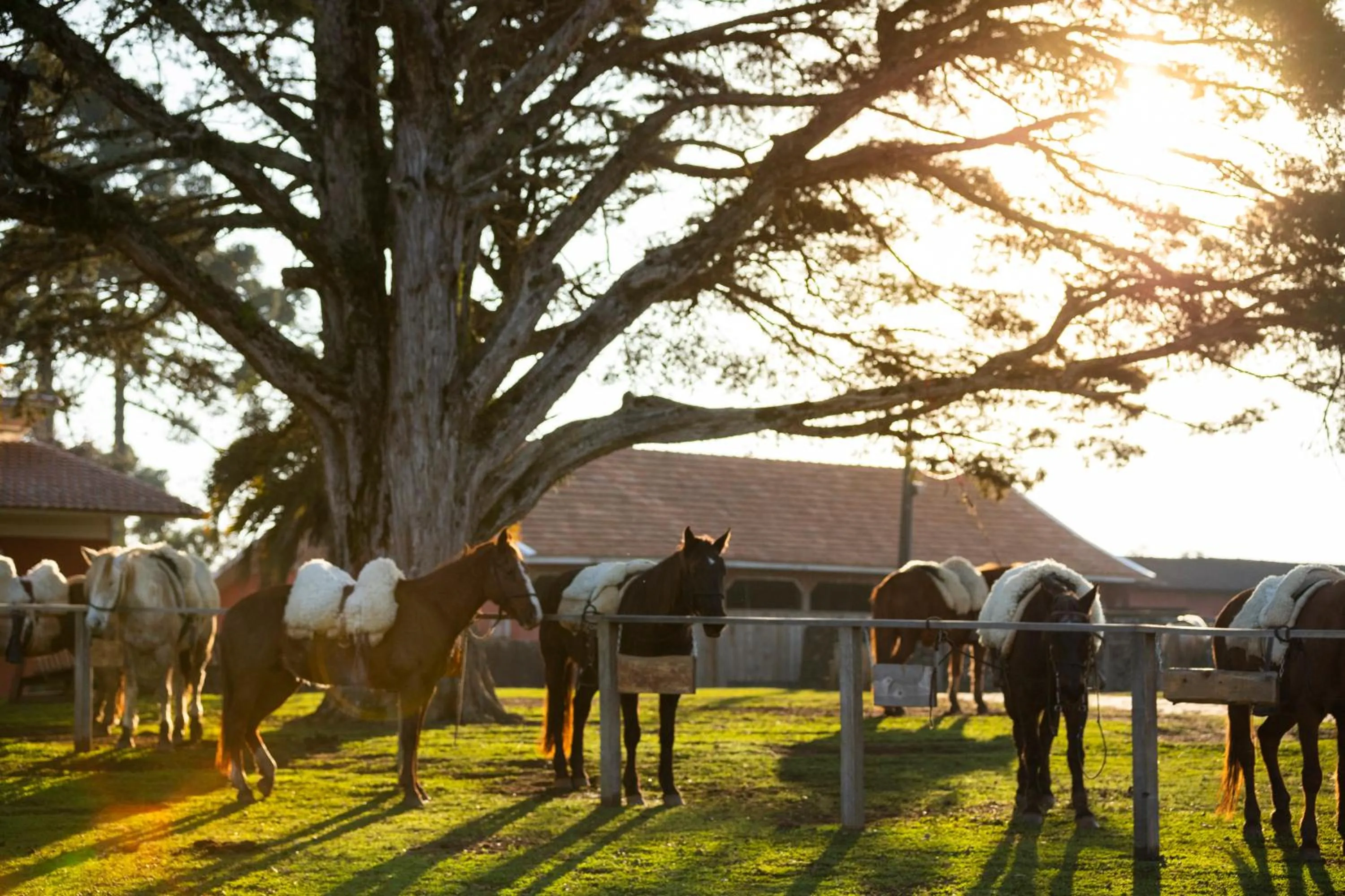 Day in Cerro Azul Hotel Fazenda