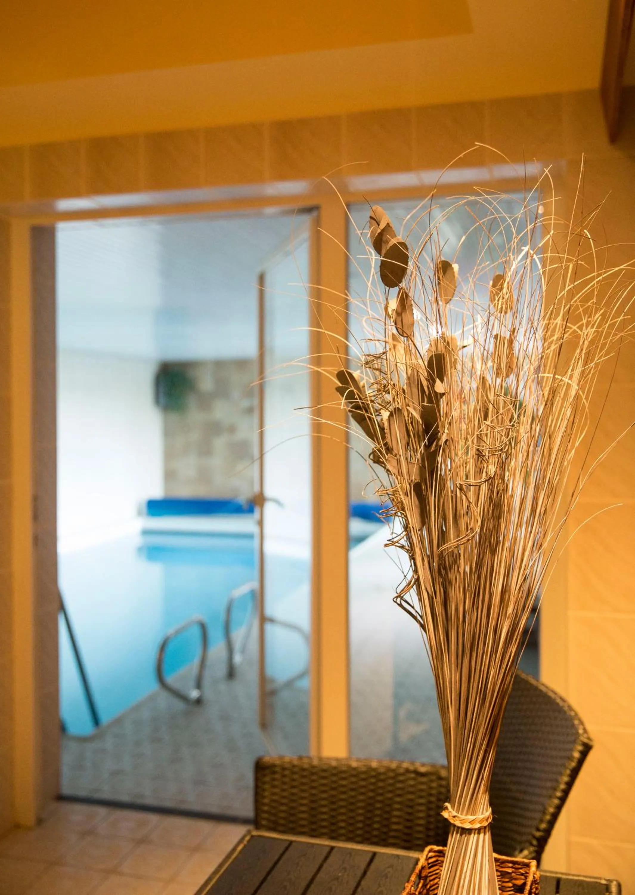 Swimming pool in Landhaus Fischer