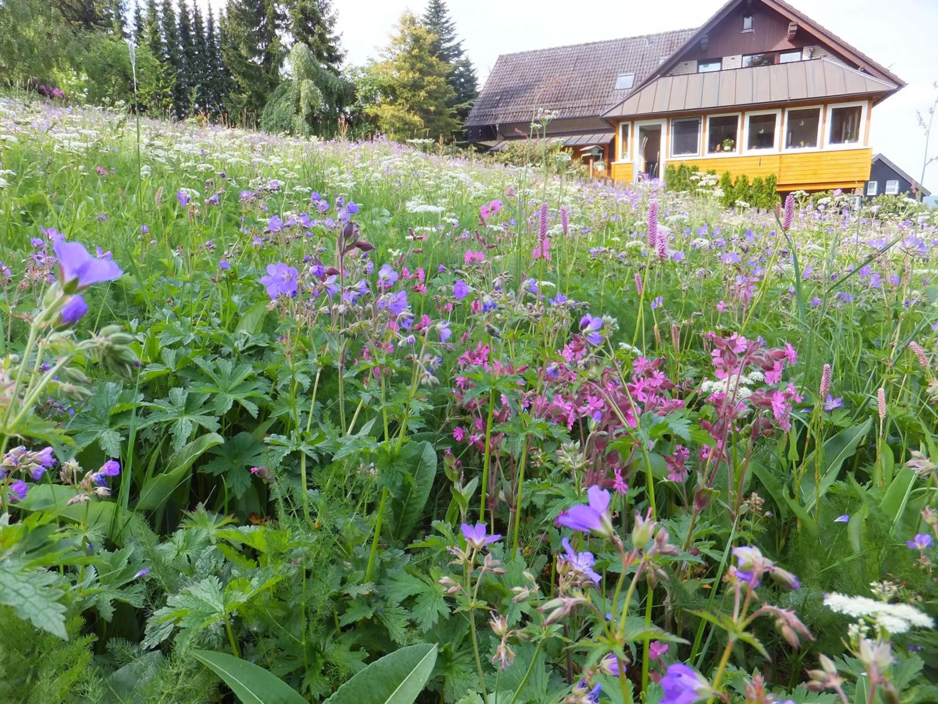 Property building in Landhaus Fischer