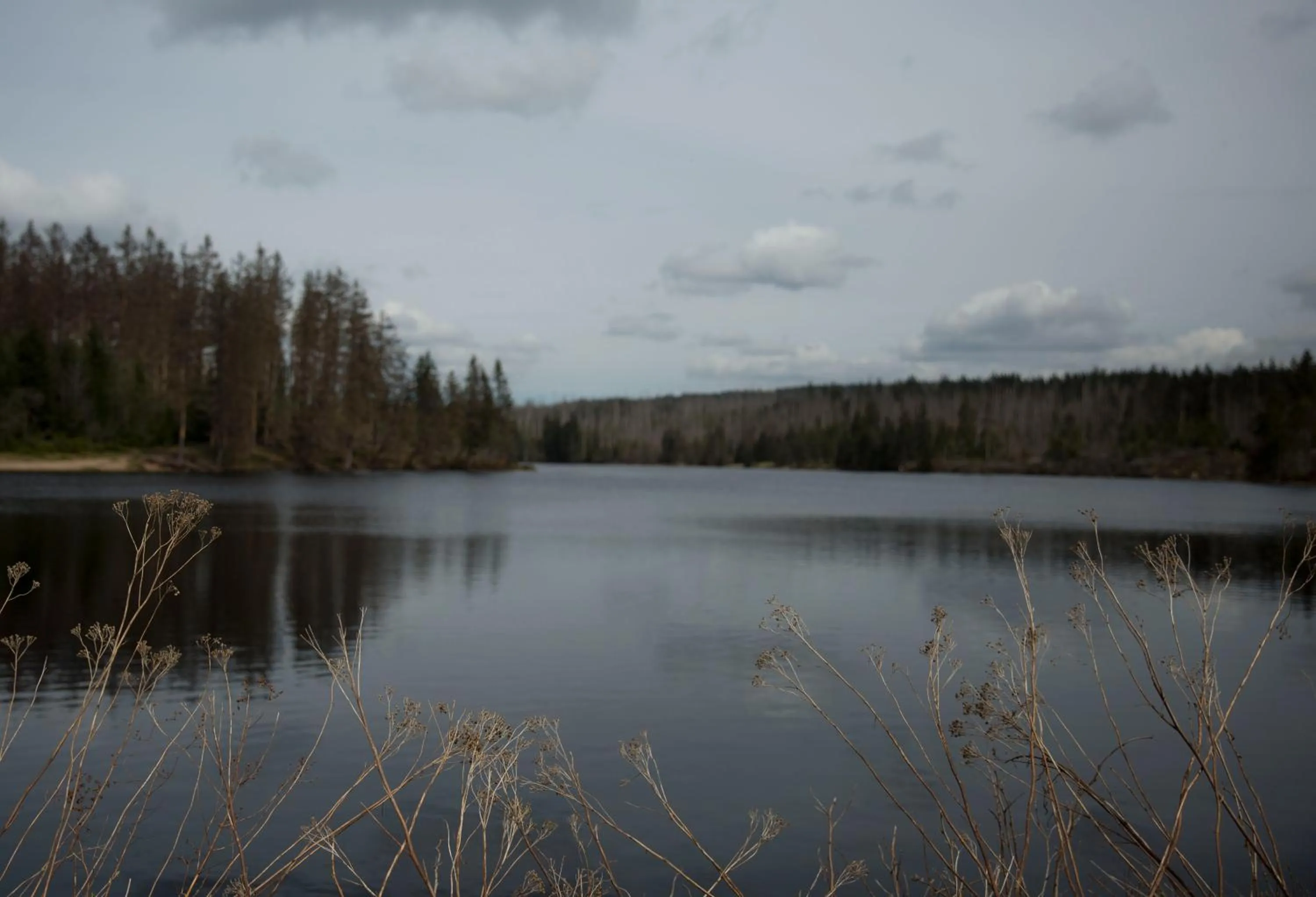 Natural landscape in Landhaus Fischer