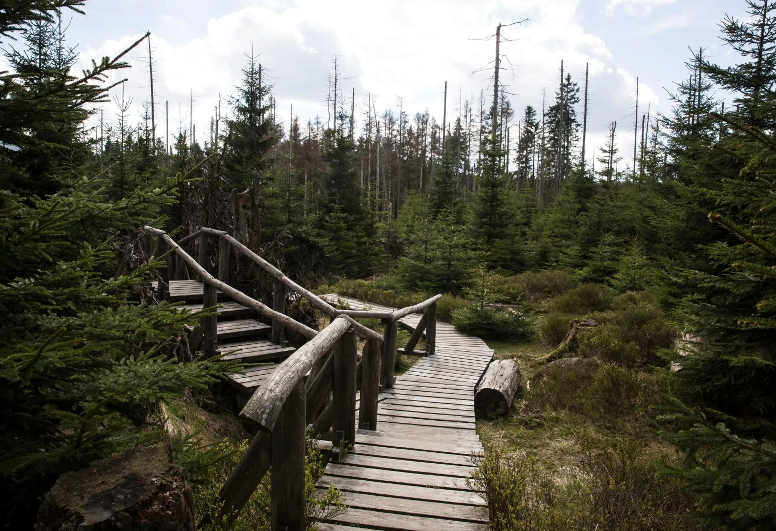 Natural landscape in Landhaus Fischer