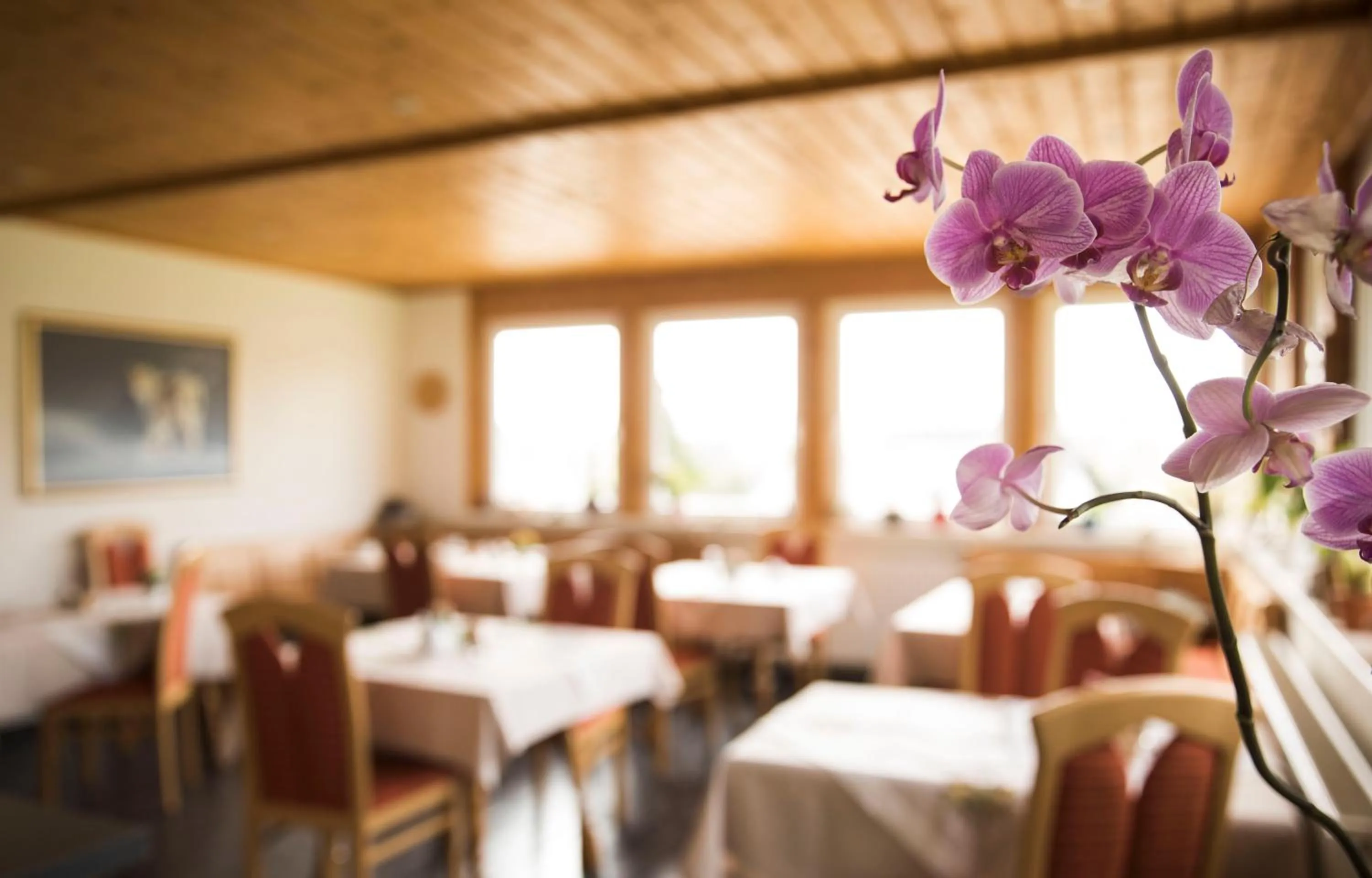 Decorative detail in Landhaus Fischer