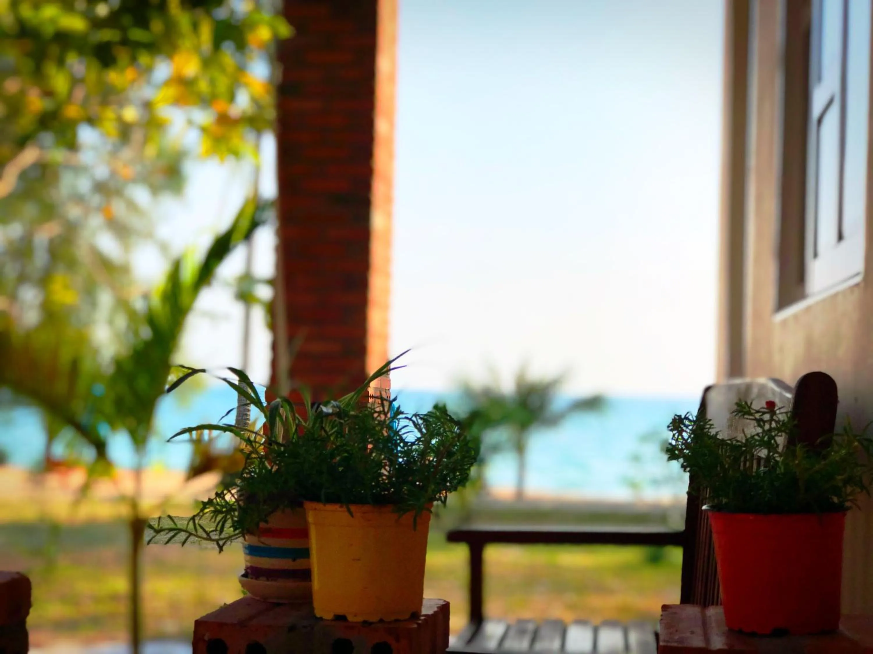 Garden view in Vung Bau Resort