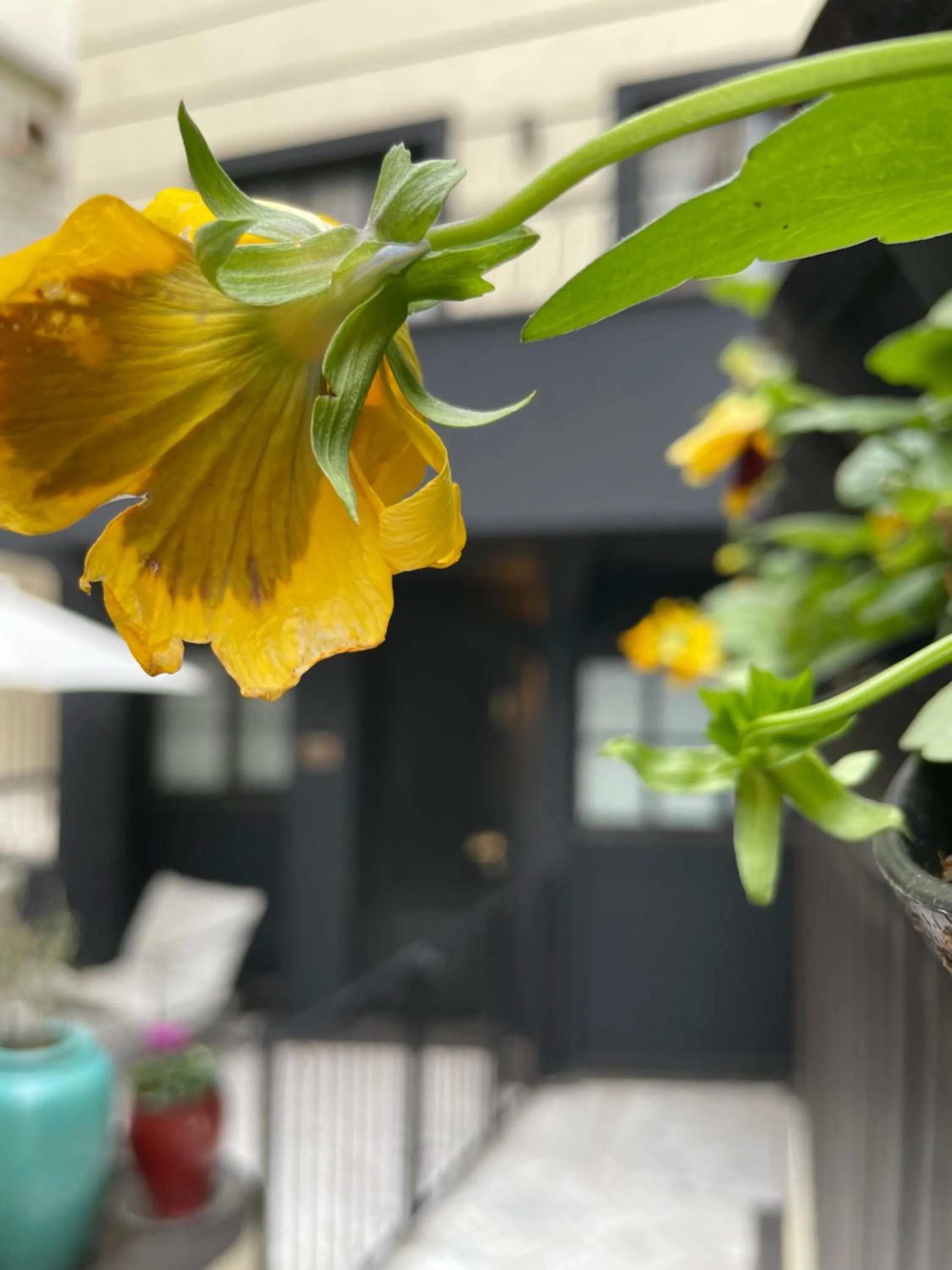 Seating area in Villa Brown Tel-Aviv, a member of Brown Hotels